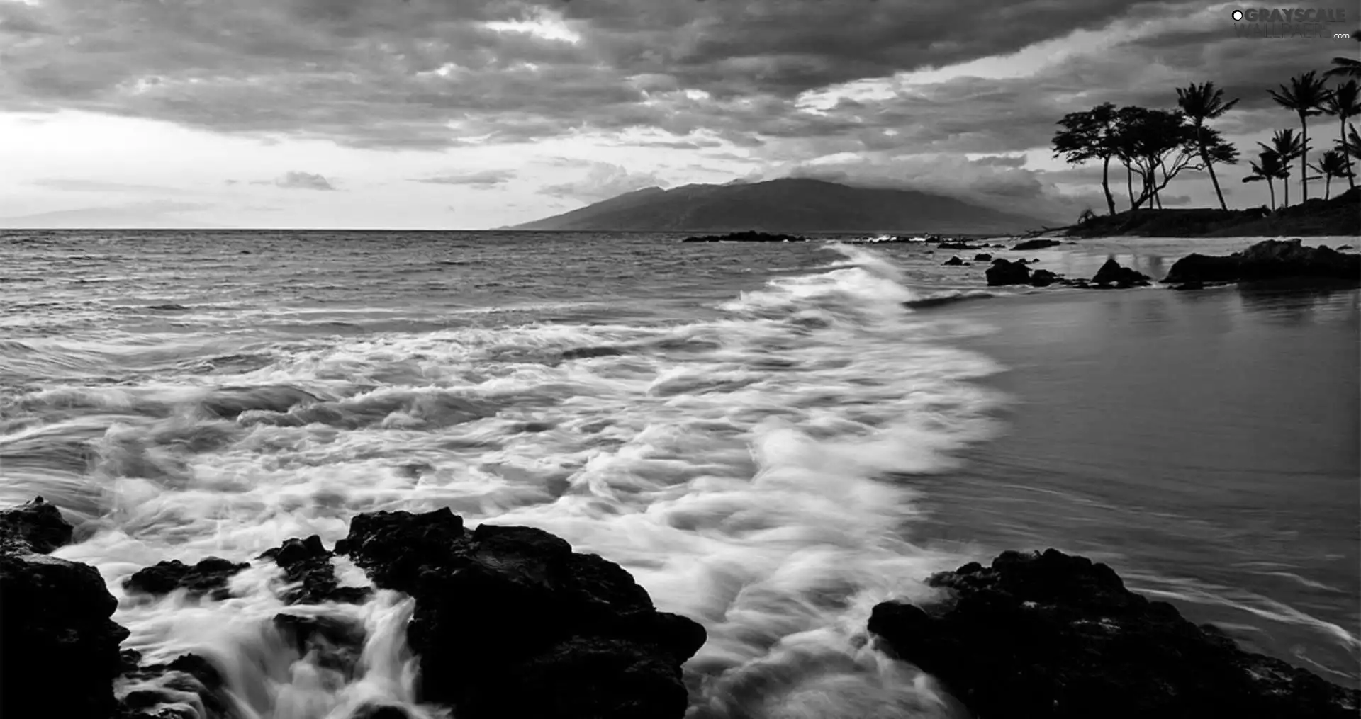 trees, viewes, rocks, clouds, sea
