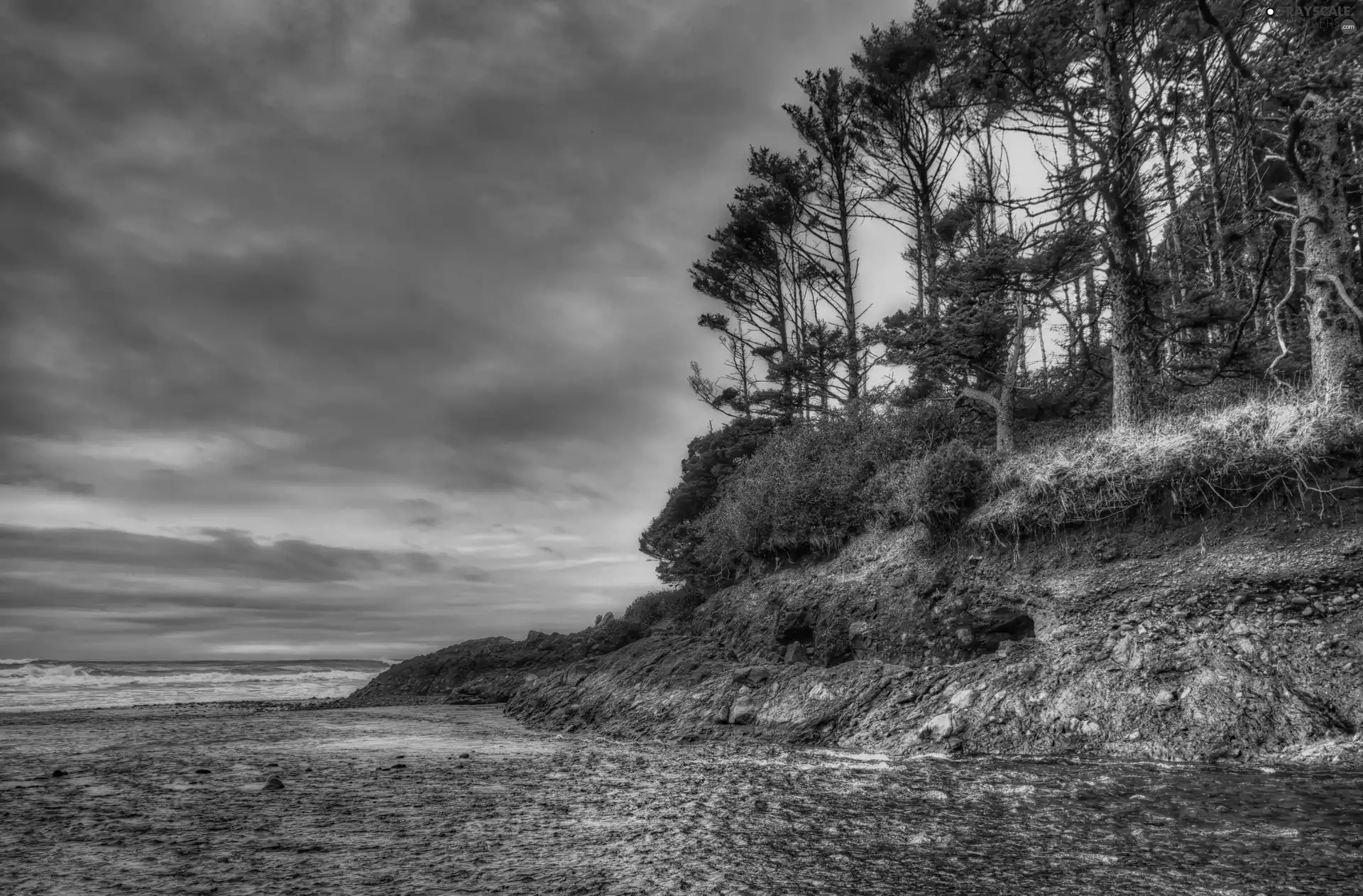 trees, viewes, coast, scarp, sea