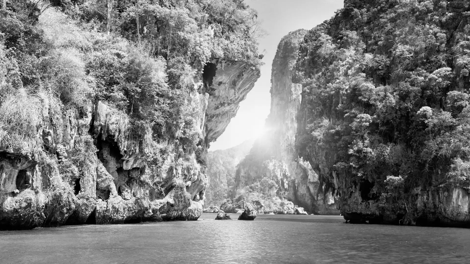 rocks, Thailand, trees, viewes, sea, Phuket