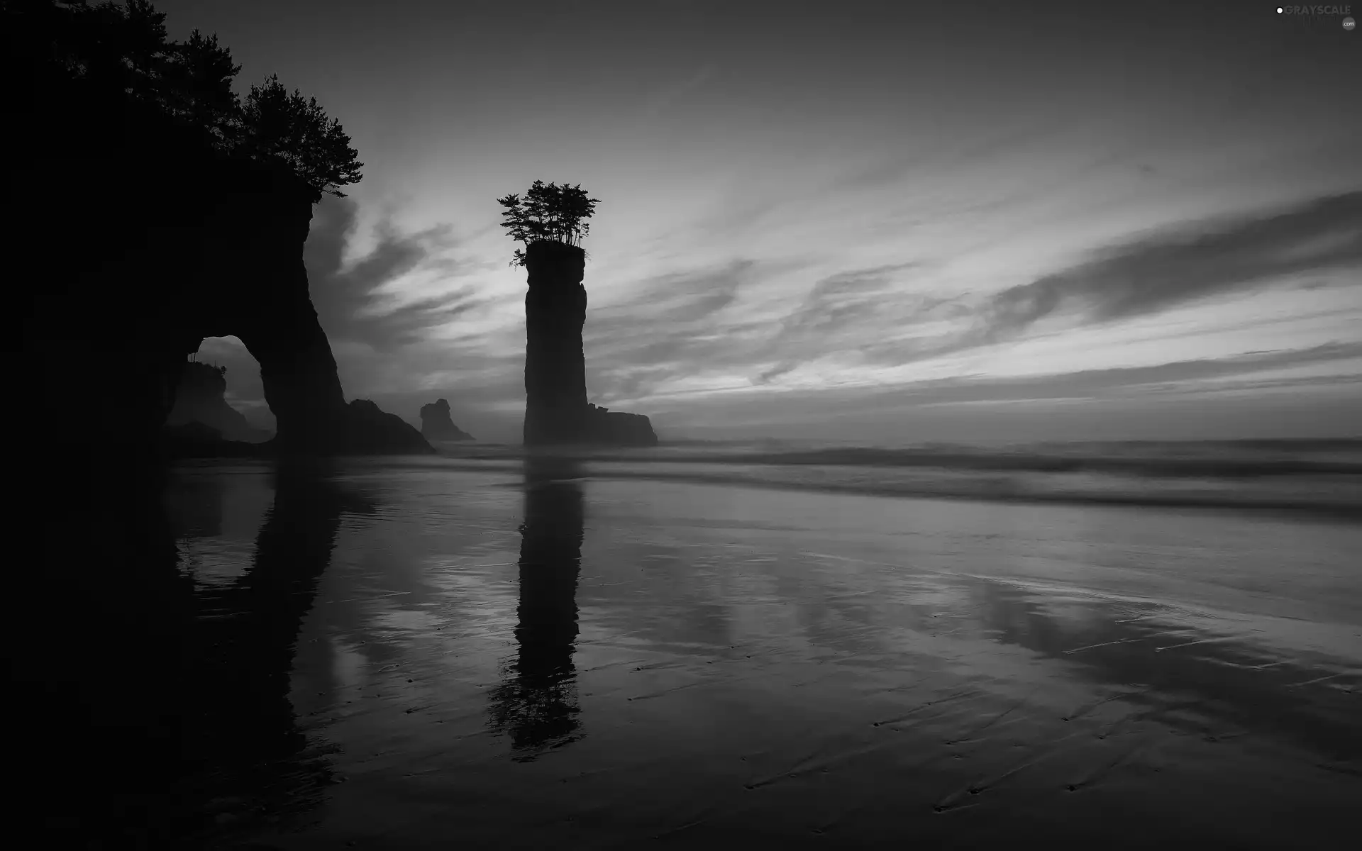 trees, viewes, sea, rocks, Sky