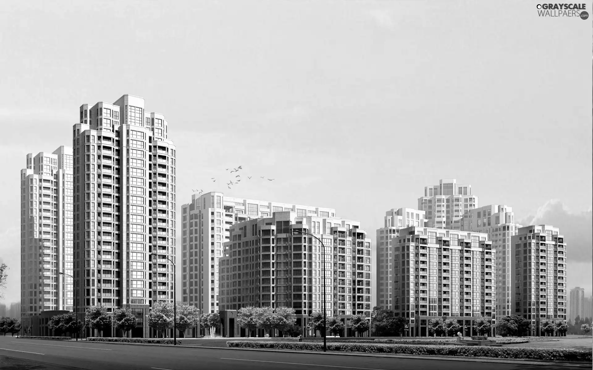 trees, viewes, clouds, Street, skyscrapers