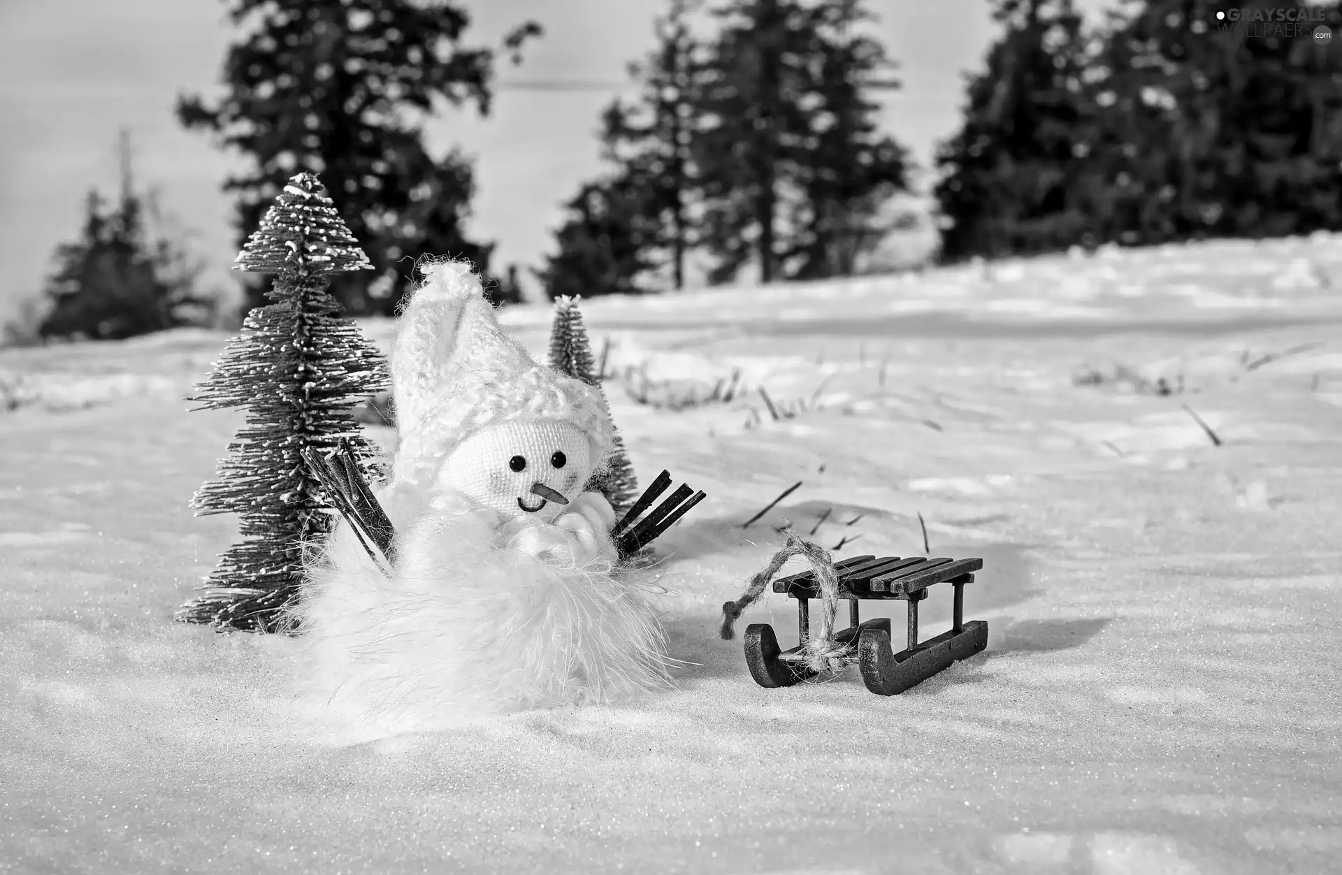 Snowman, winter, trees, viewes, sledge, snow