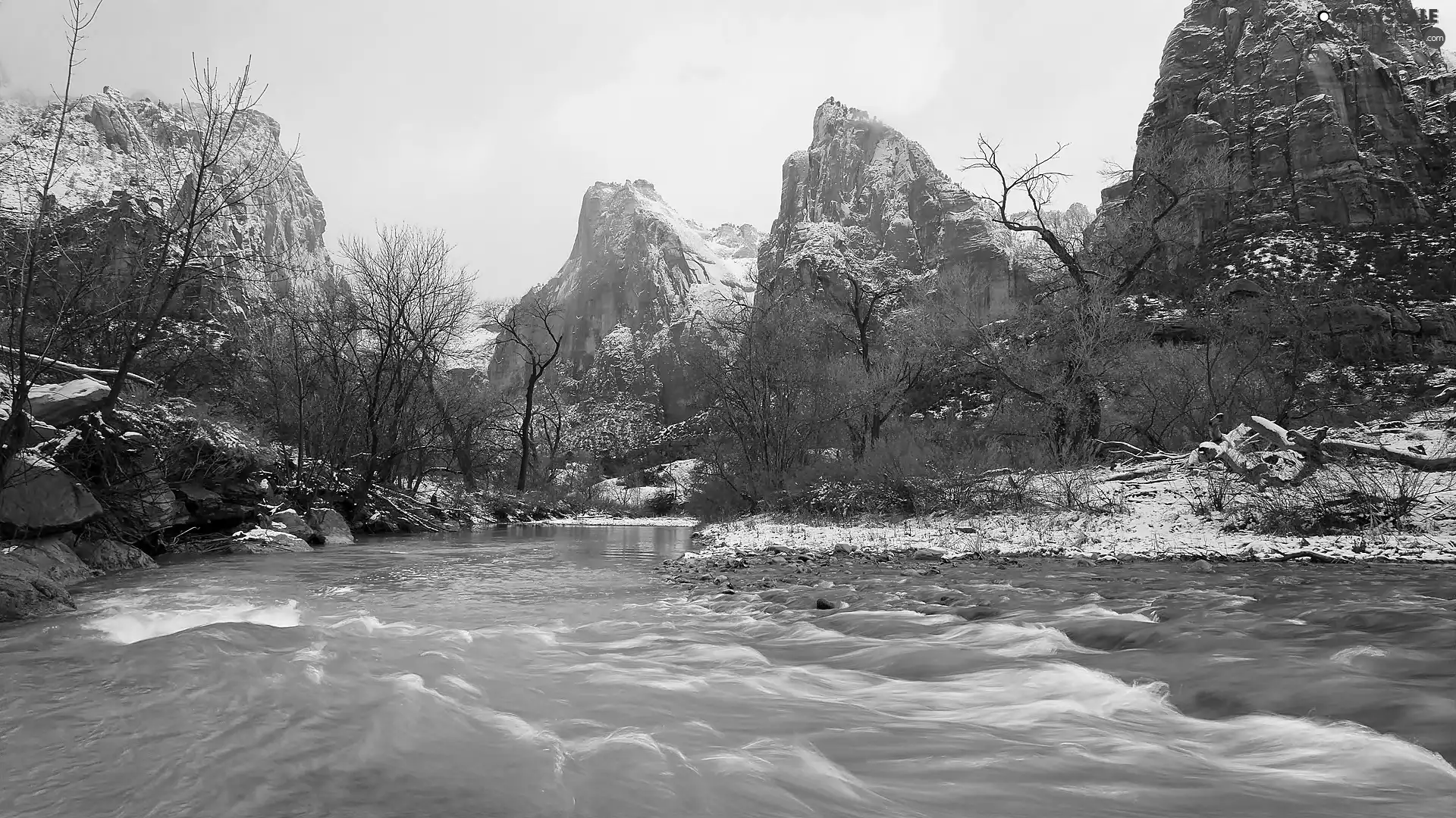 trees, viewes, rocks, River, Snowy