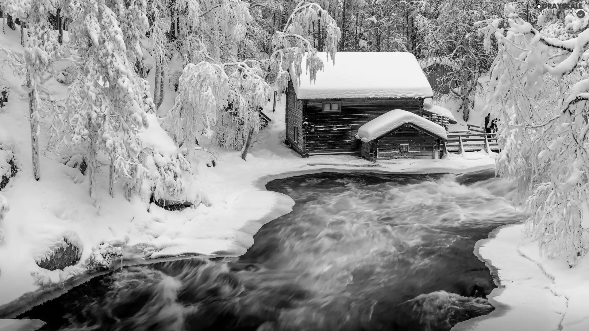 brook, winter, trees, viewes, Snowy, house