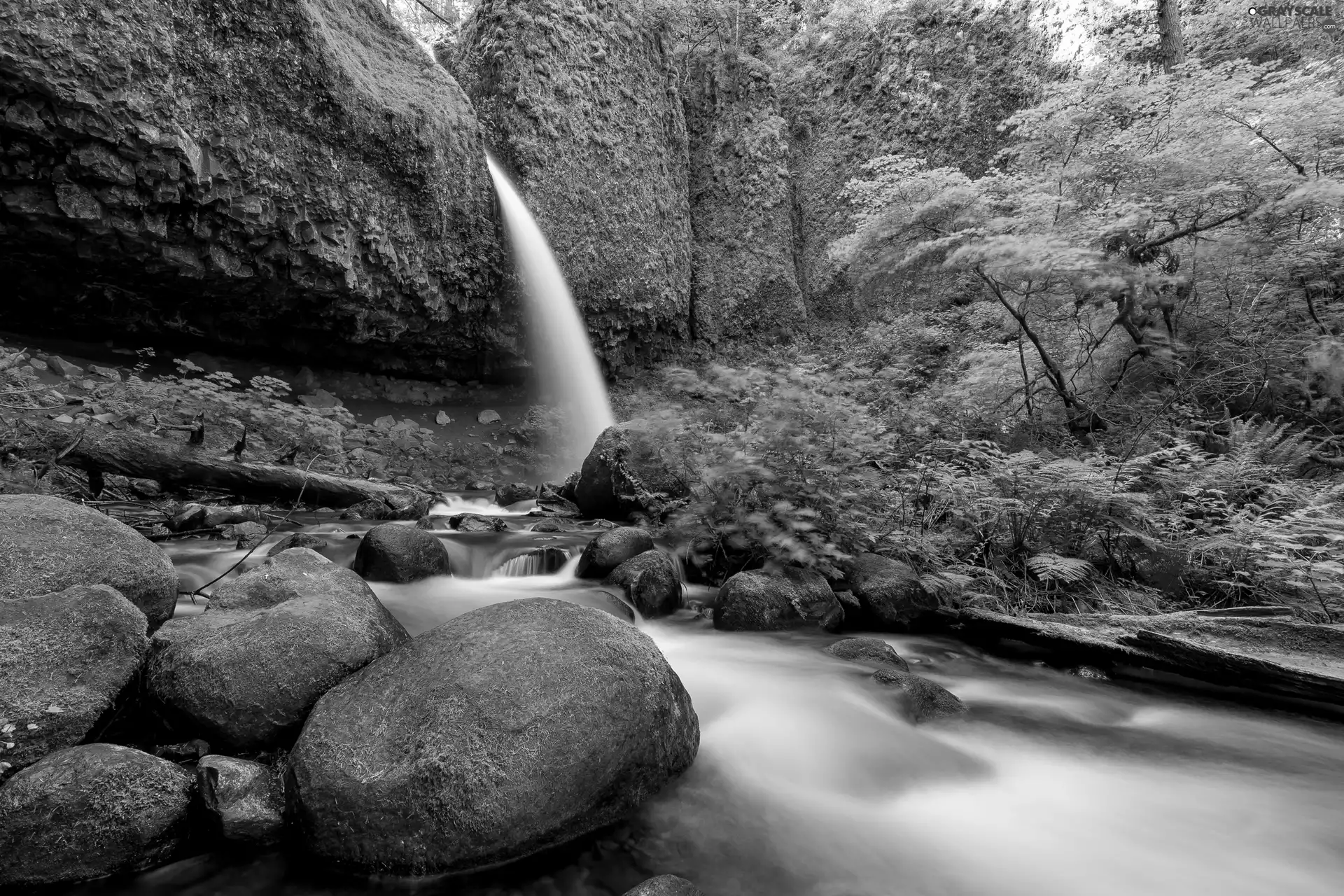mossy, waterfall, trees, viewes, Stones, River
