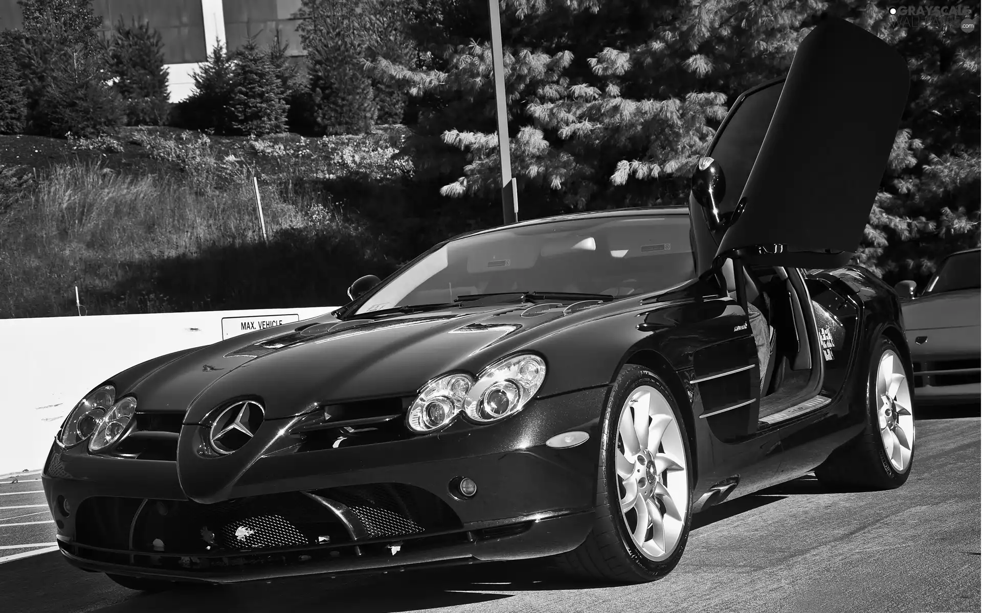 Mercedes Benz SLR McLaren, trees, viewes, Street