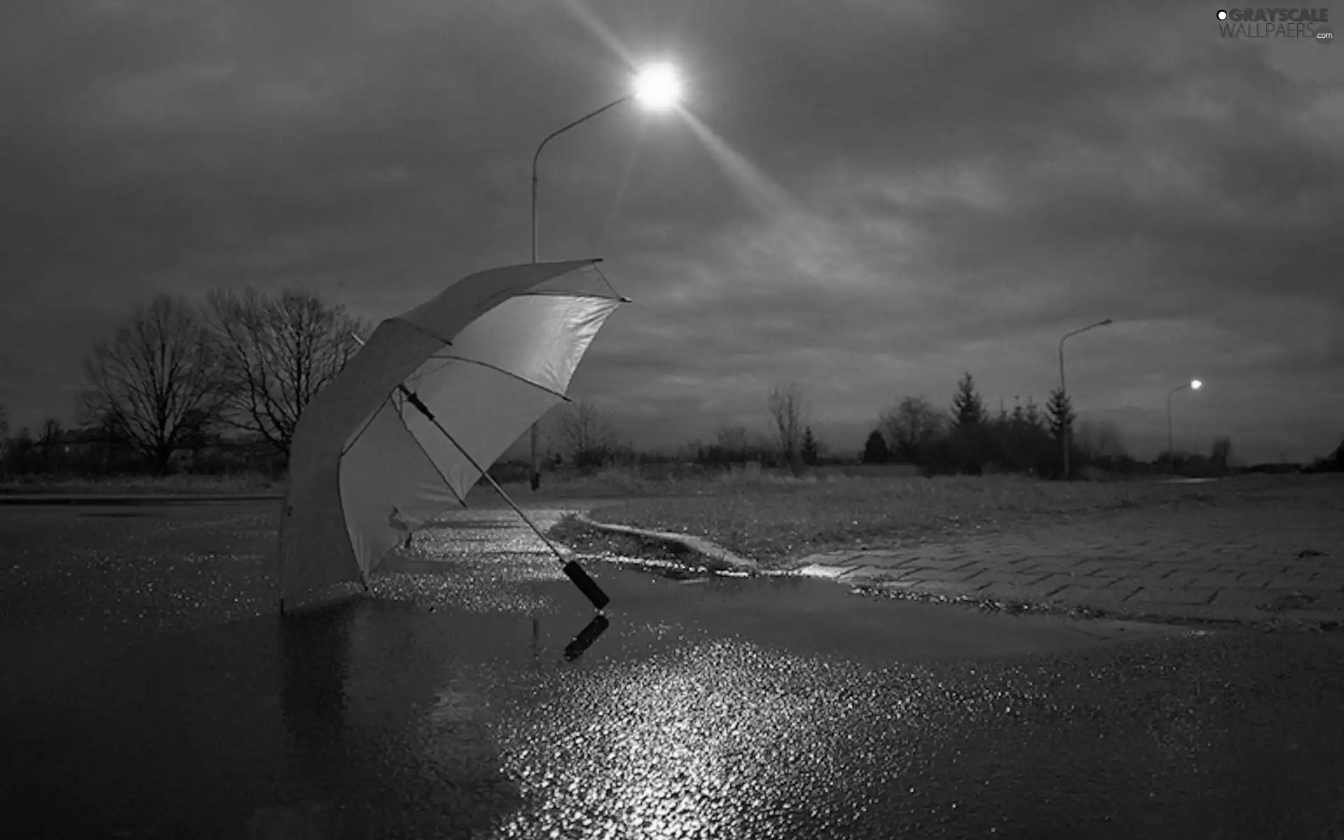 rays, Rain, trees, viewes, sun, Umbrella