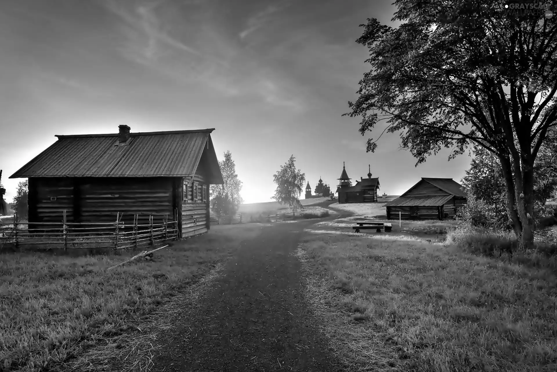 Way, village, trees, viewes, Sunrise, Houses