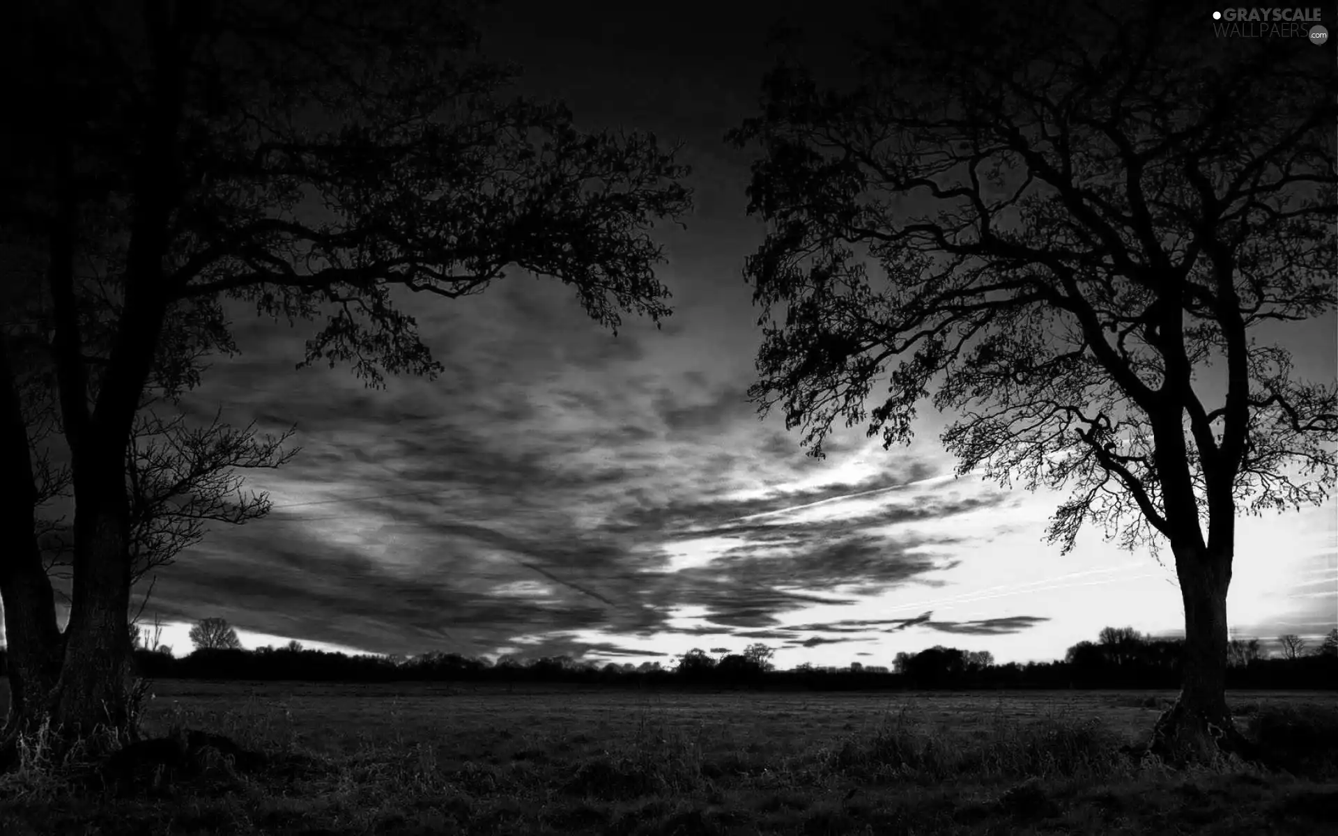 trees, viewes, clouds, Great Sunsets, Meadow