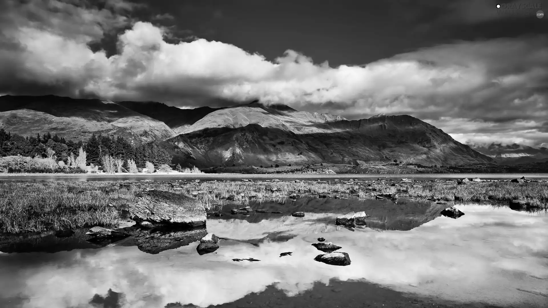 trees, viewes, Sky, clouds, water