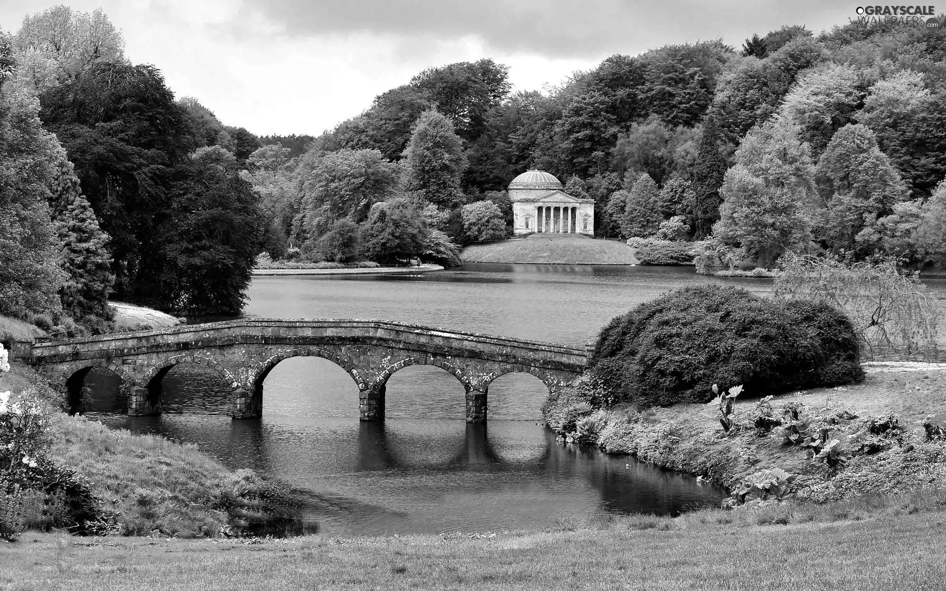 trees, viewes, bridges, grass, water