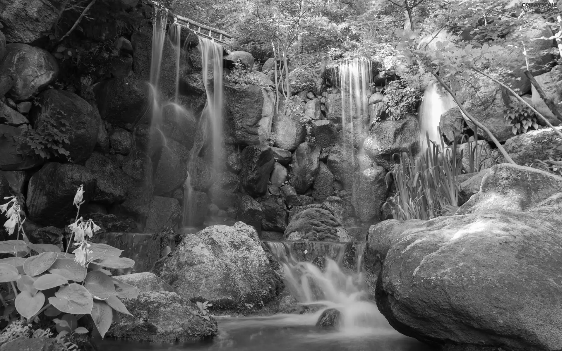 trees, viewes, rocks, Flowers, waterfall