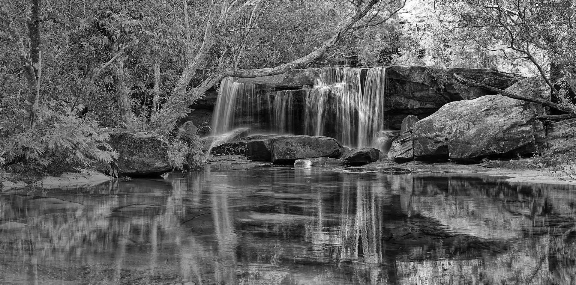 trees, viewes, rocks, River, waterfall