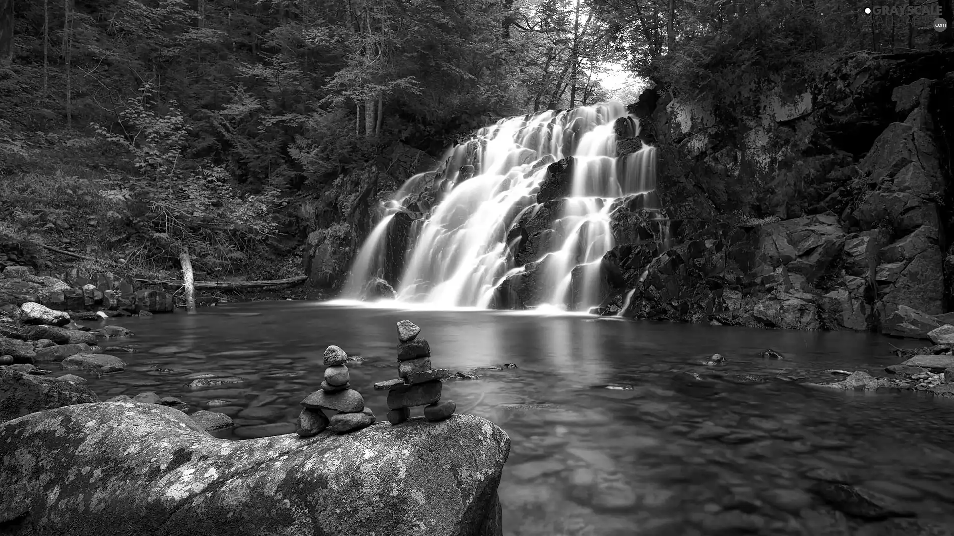 trees, viewes, rocks, River, waterfall
