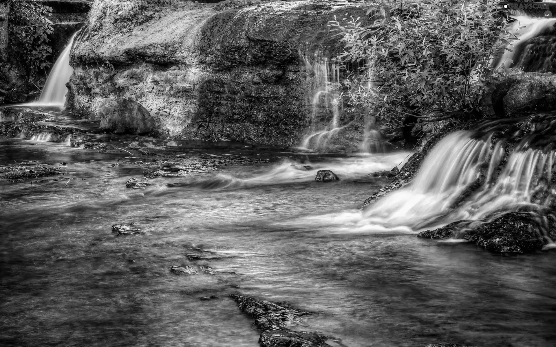 trees, viewes, rocks, River, waterfall