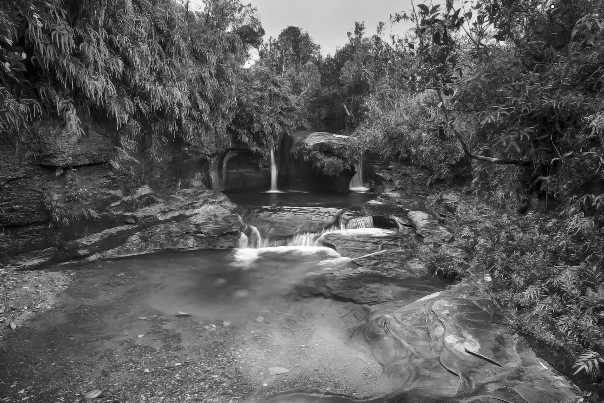 trees, viewes, brook, rocks, waterfall