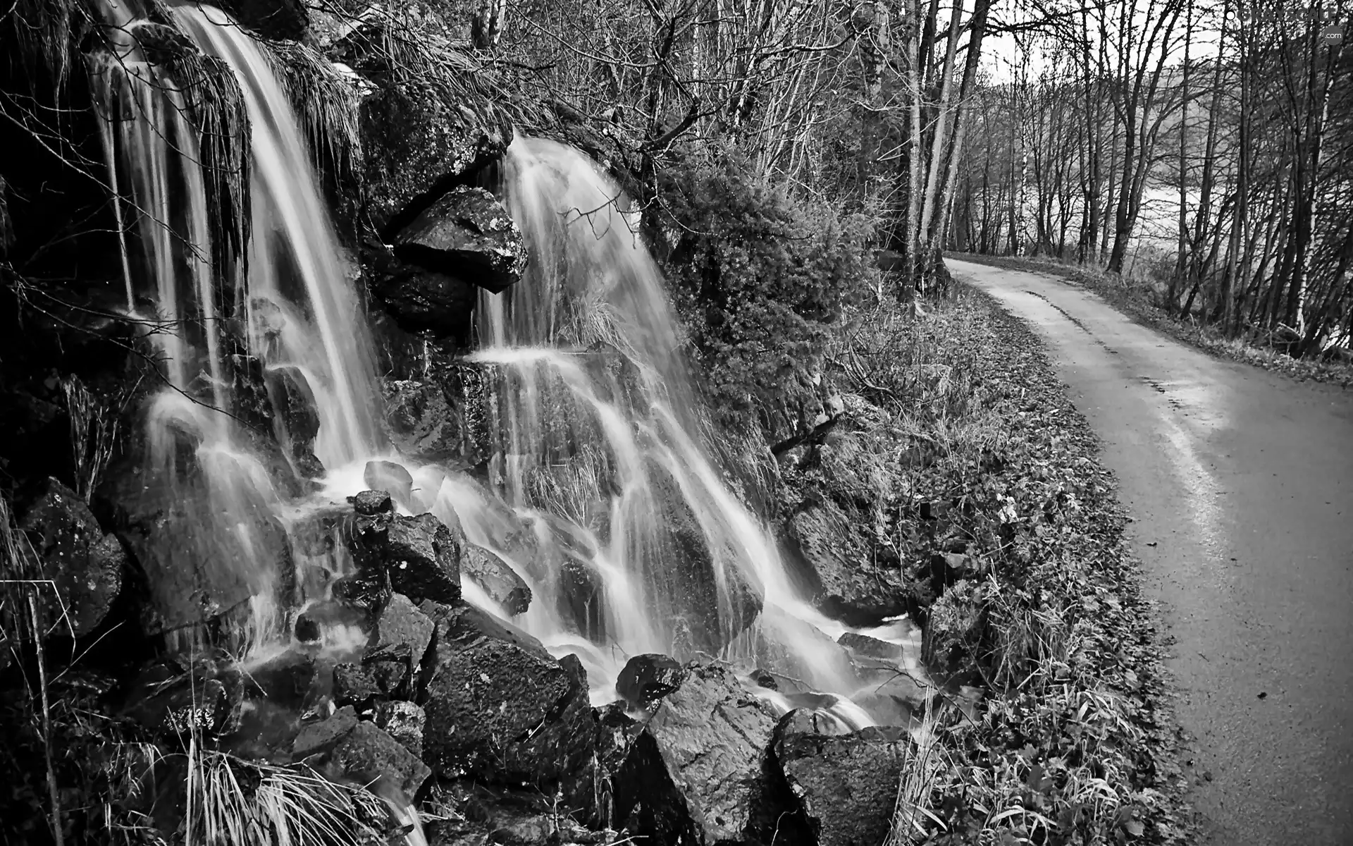 trees, viewes, Stones, Way, waterfall