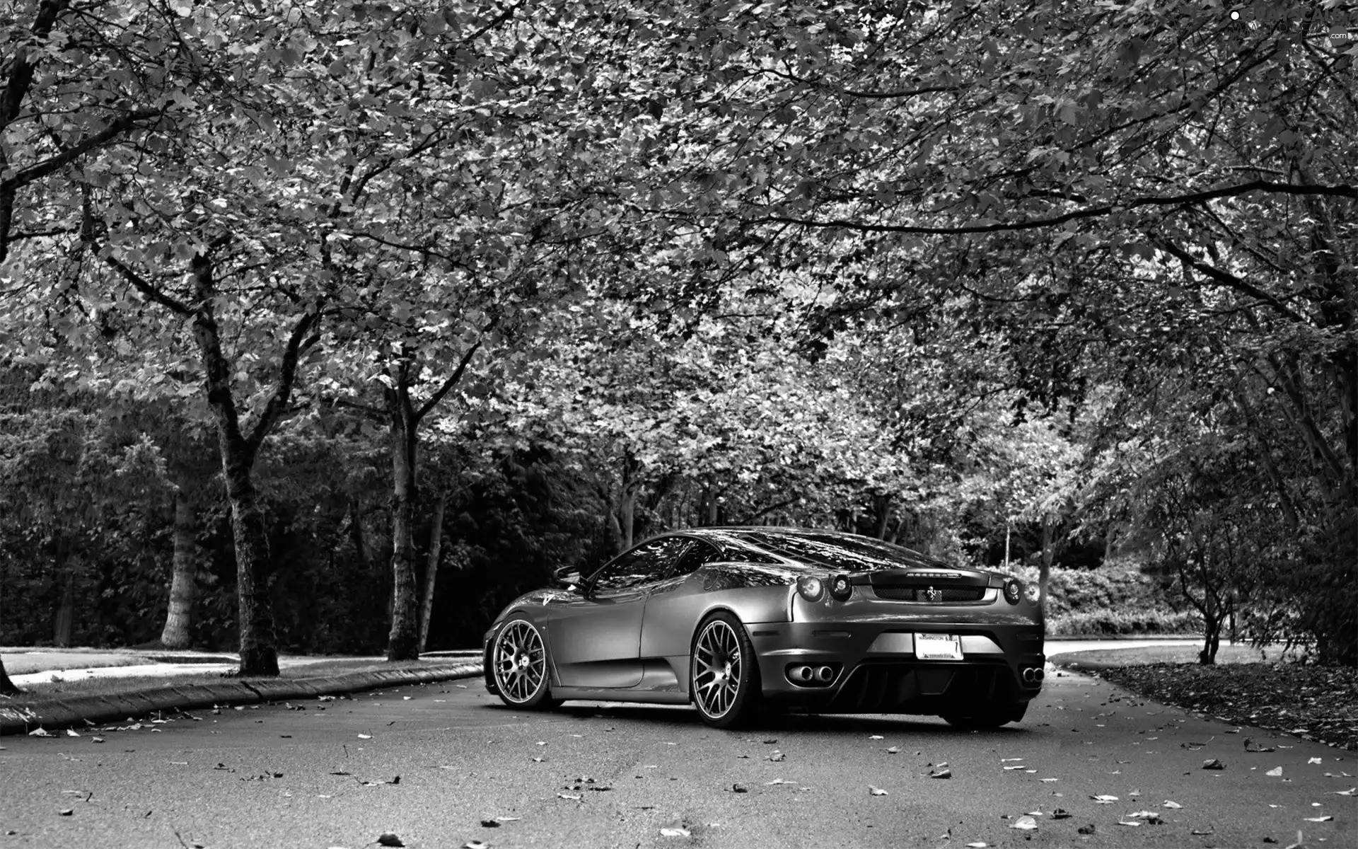 autumn, Ferrari, trees, viewes, Way, F430