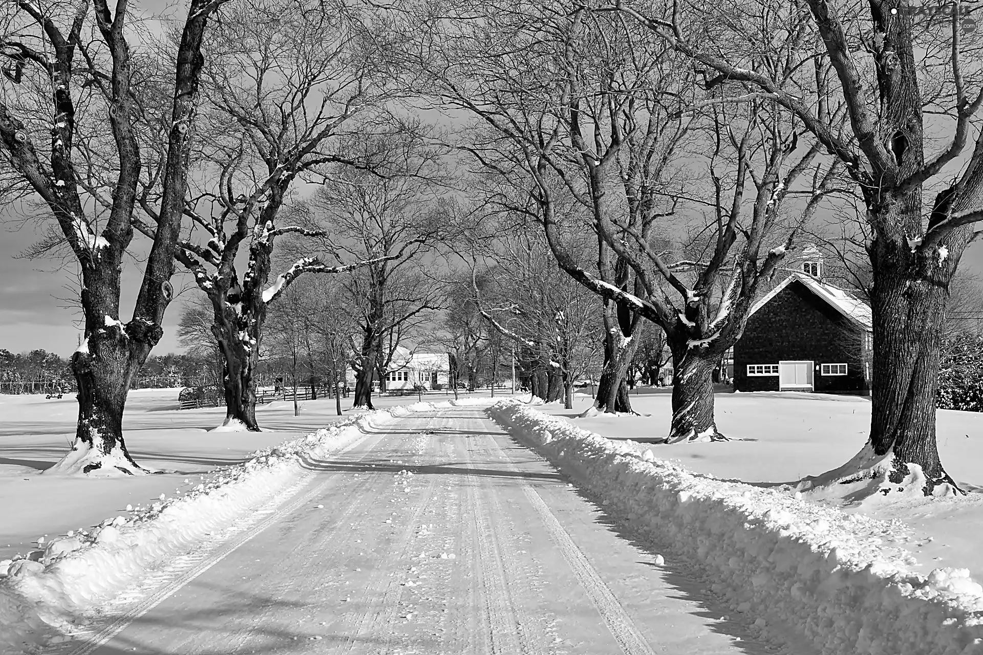 field, winter, trees, viewes, Way, Houses