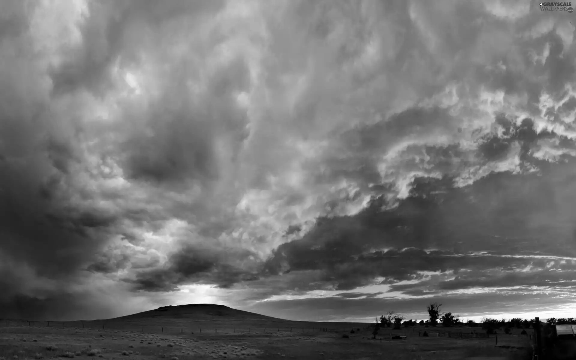 trees, viewes, sun, clouds, west