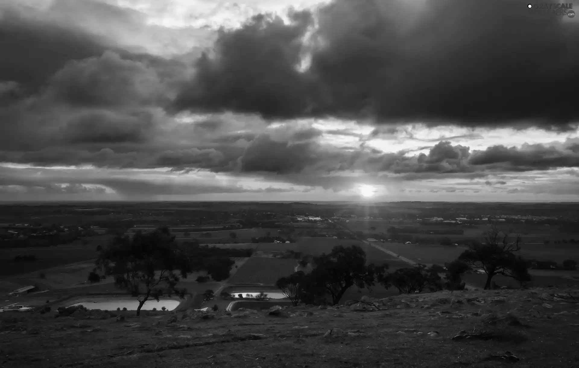 trees, viewes, sun, clouds, west