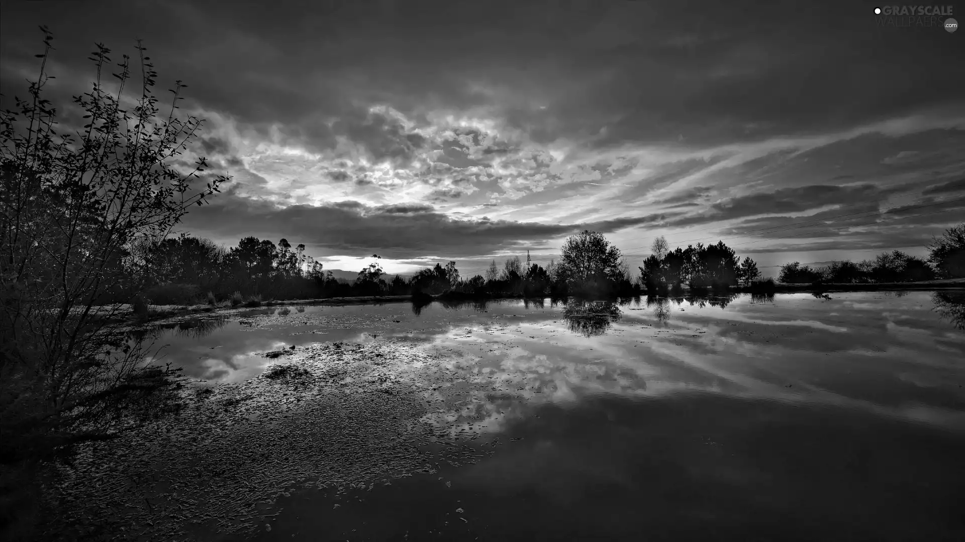 trees, viewes, sun, lake, west