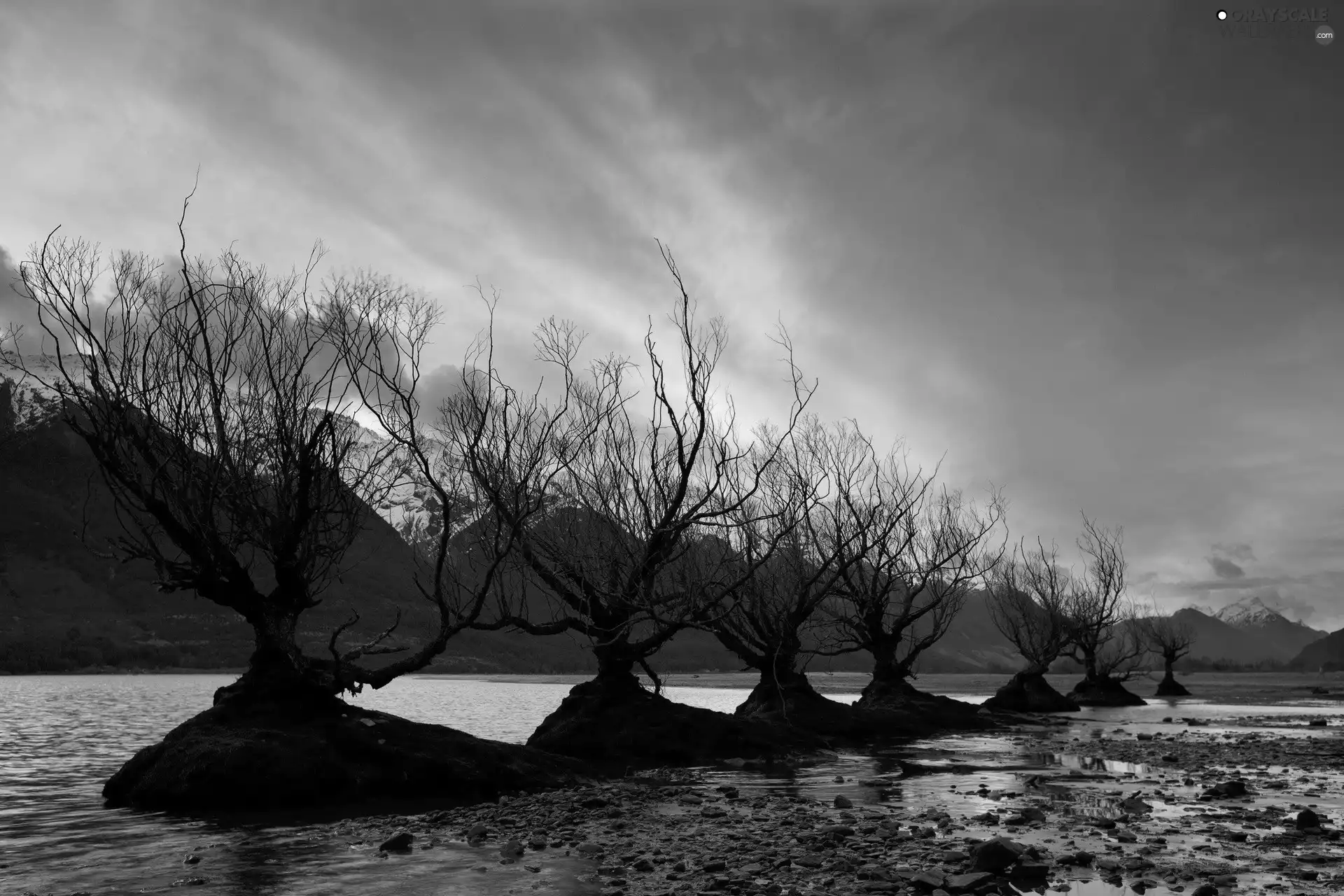 trees, viewes, sun, Mountains, west