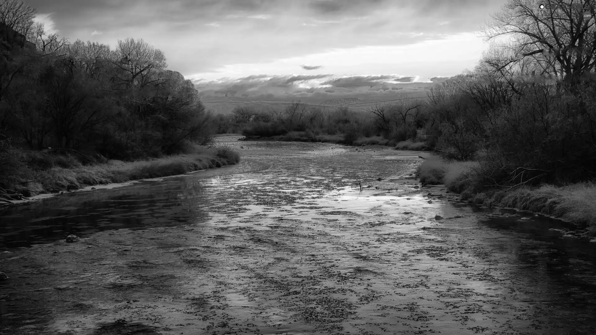 trees, viewes, sun, River, west