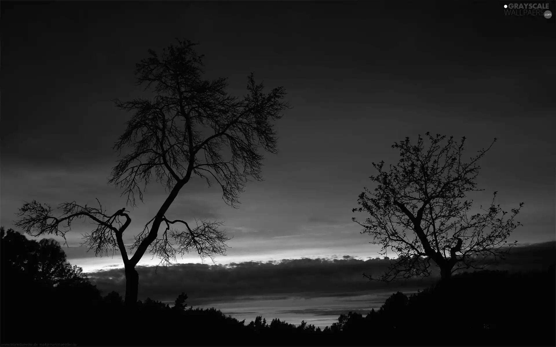 trees, viewes, sun, Sky, west