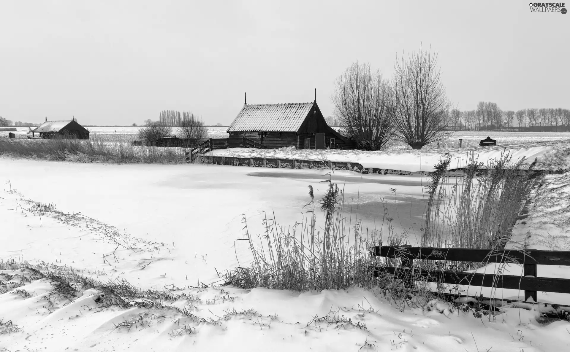 trees, viewes, Houses, field, winter