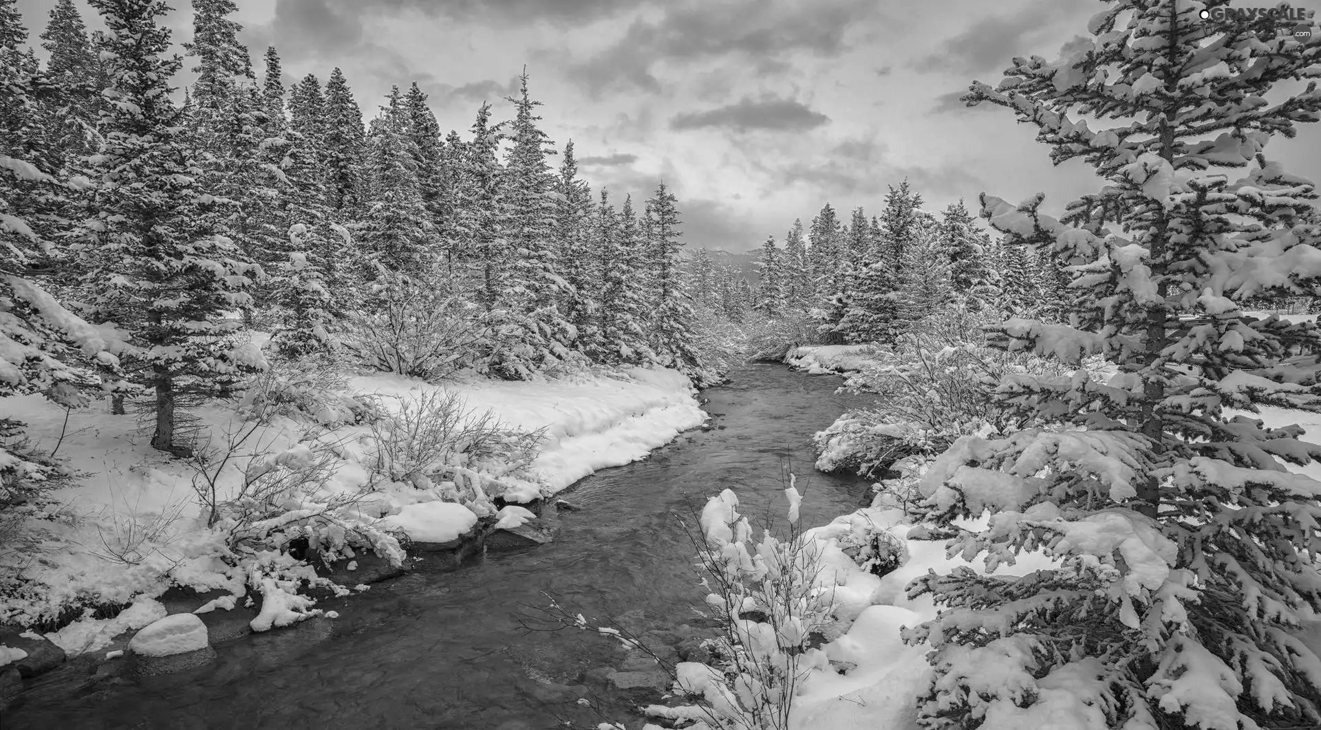 trees, viewes, River, forest, winter