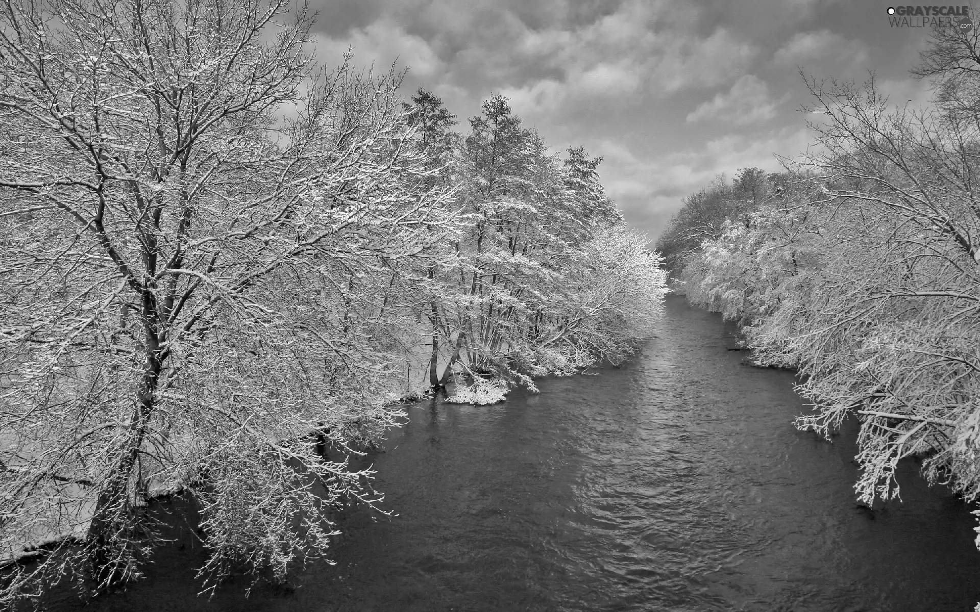 trees, viewes, River, frosty, winter