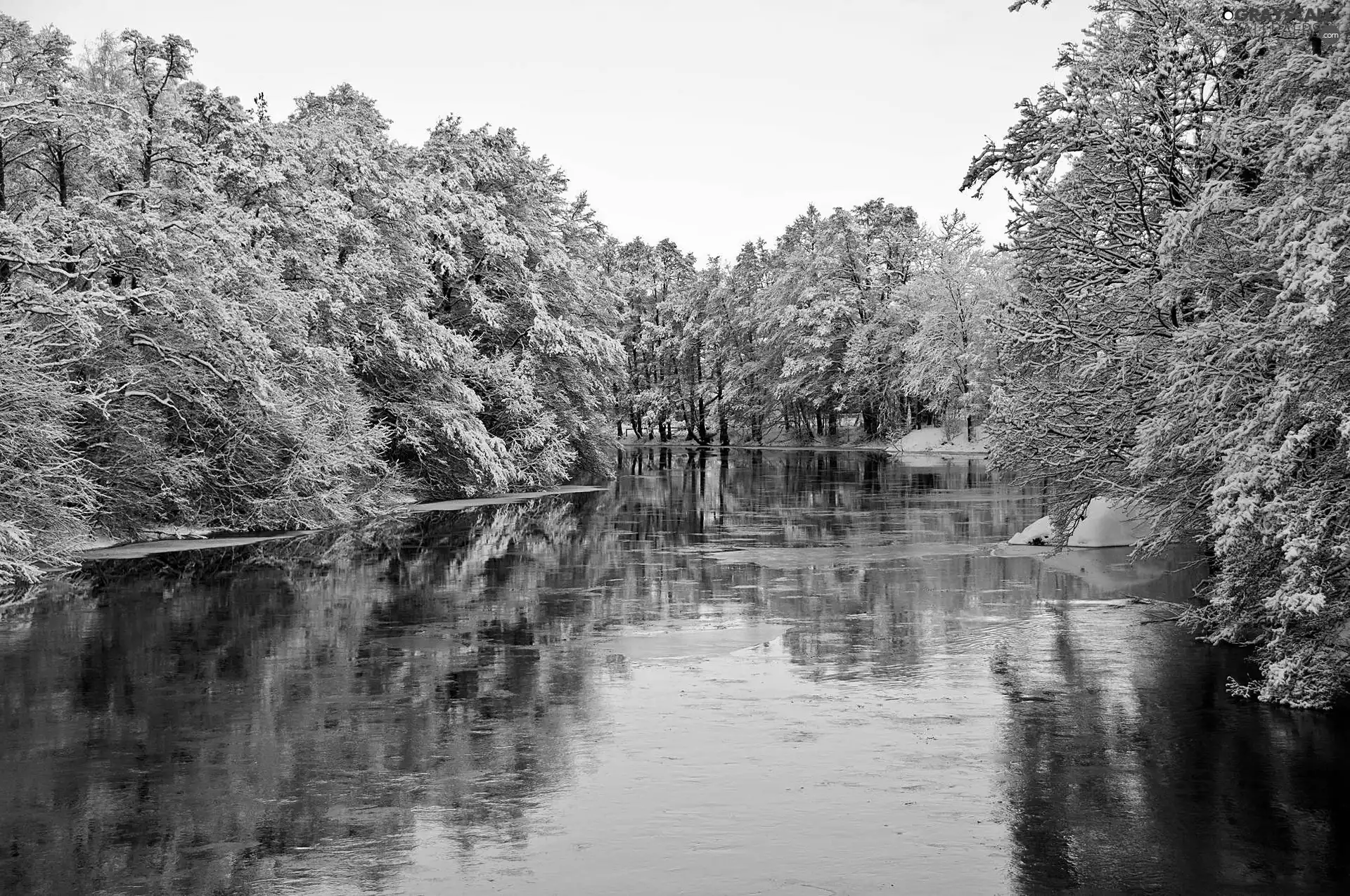 trees, viewes, River, frosty, winter