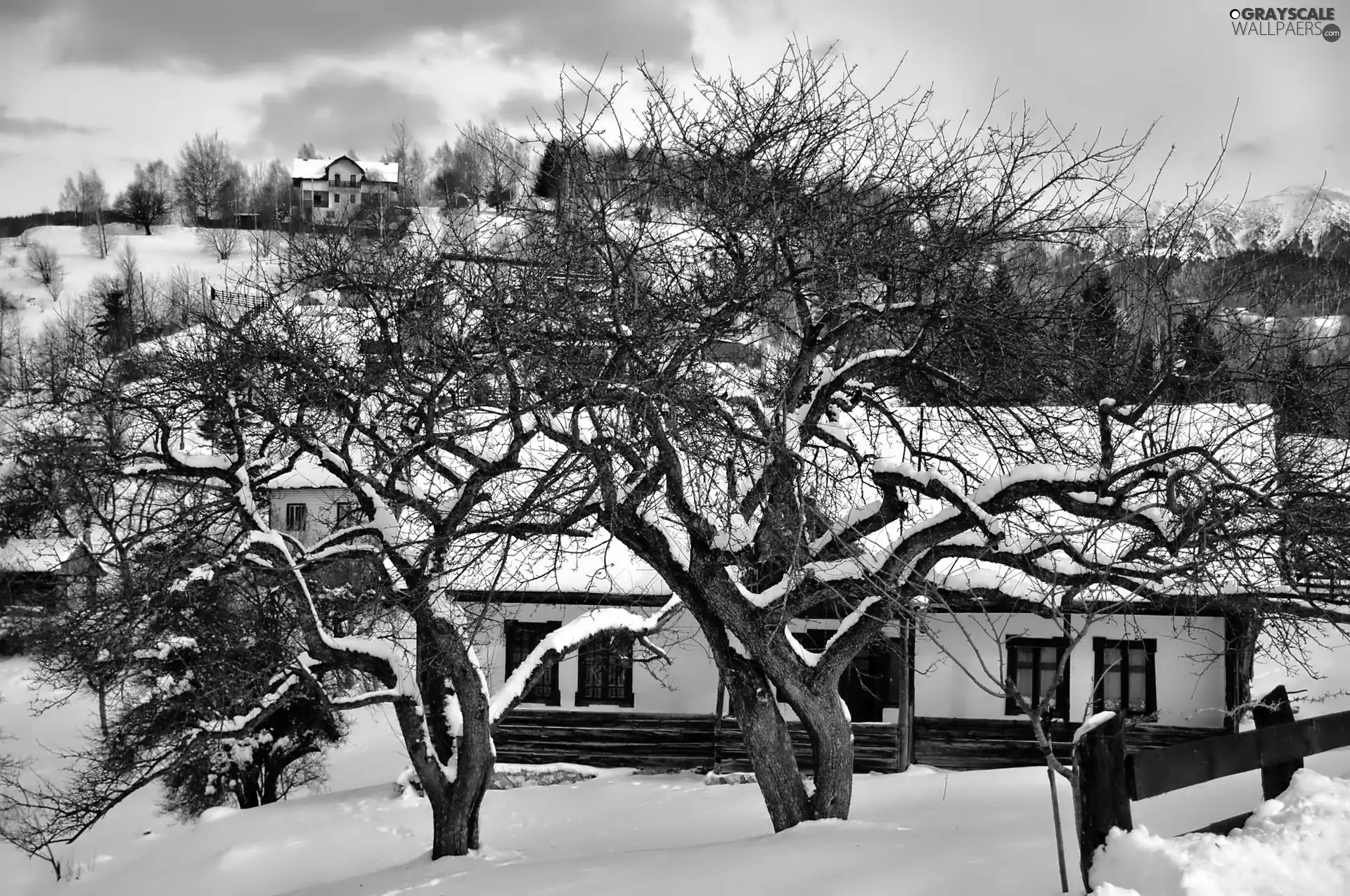 trees, viewes, Country, Houses, winter