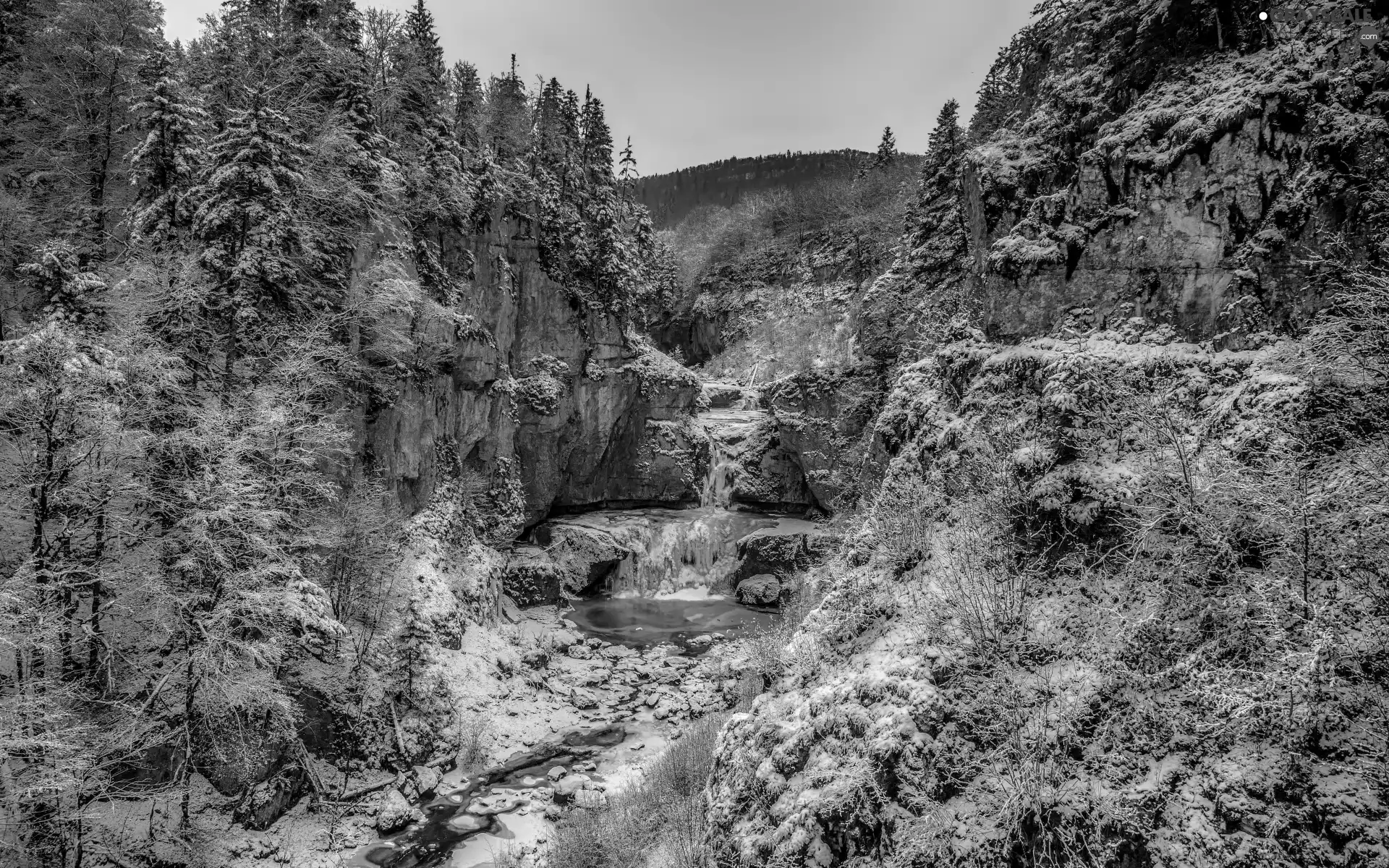 trees, viewes, waterfall, rocks, winter