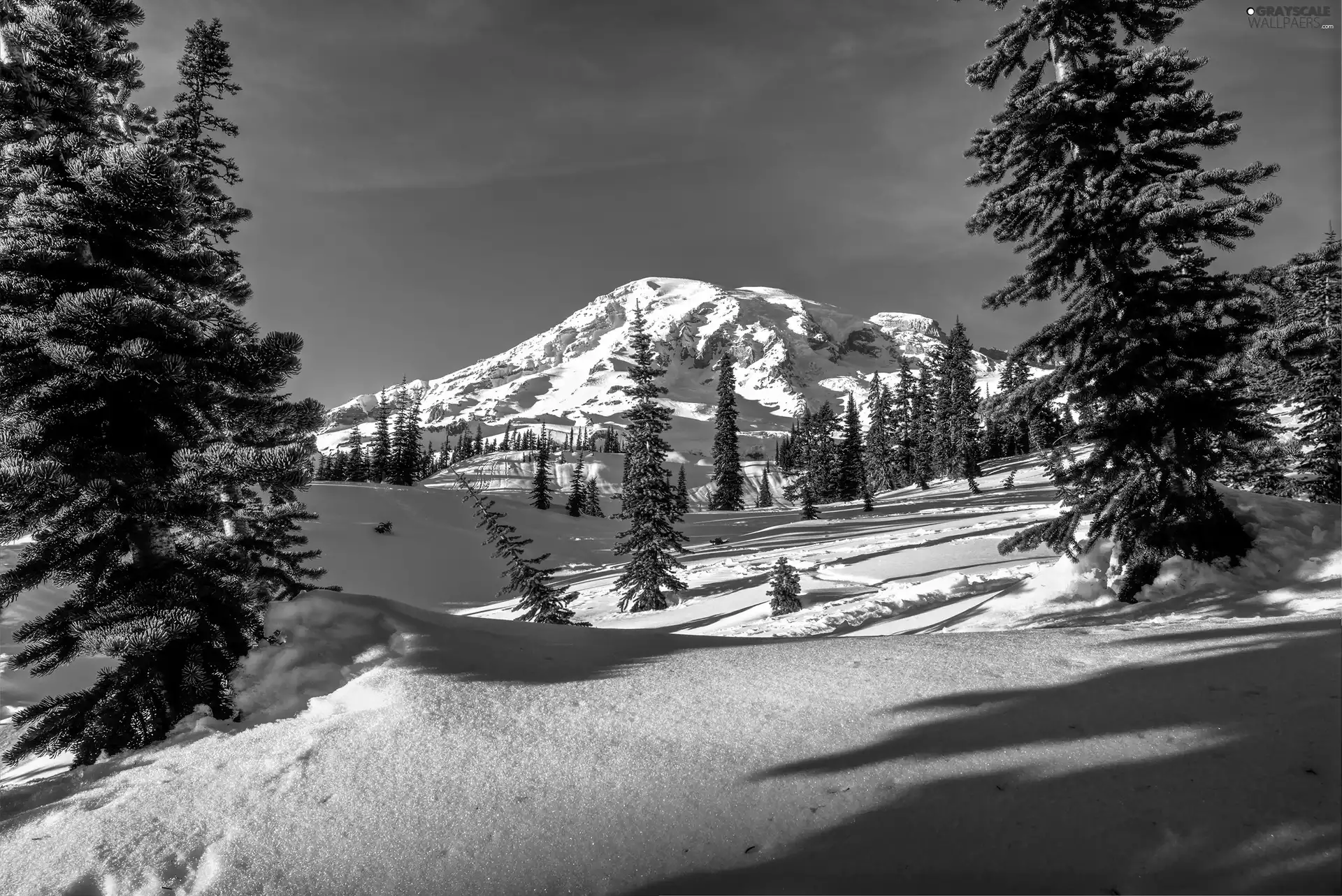 trees, viewes, Mountains, snow, winter