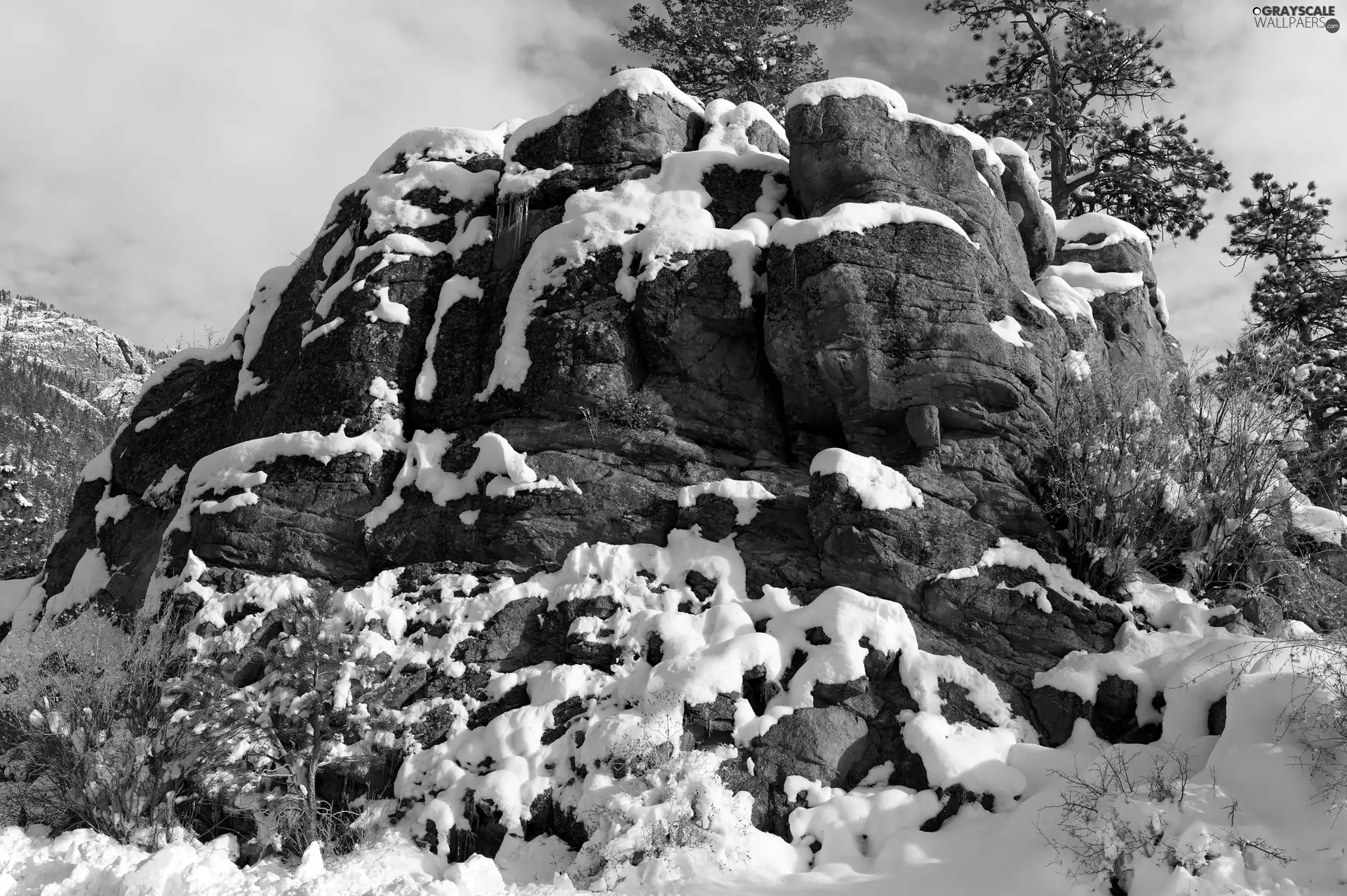 trees, viewes, rocks, snow, winter