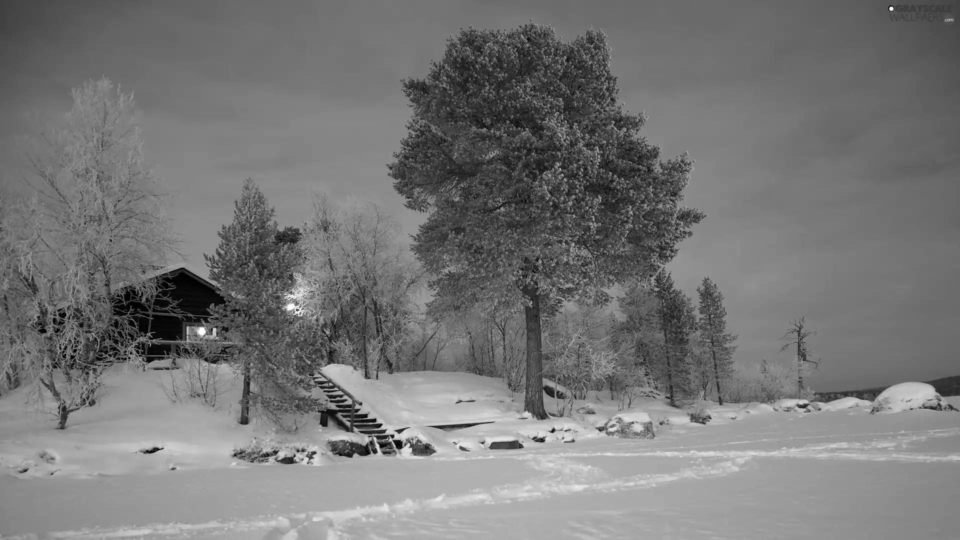 trees, viewes, Home, Stairs, winter