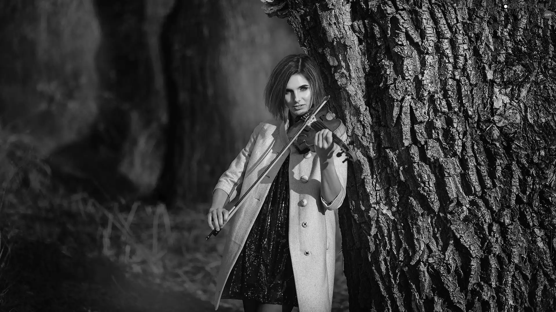 trees, girl, violin