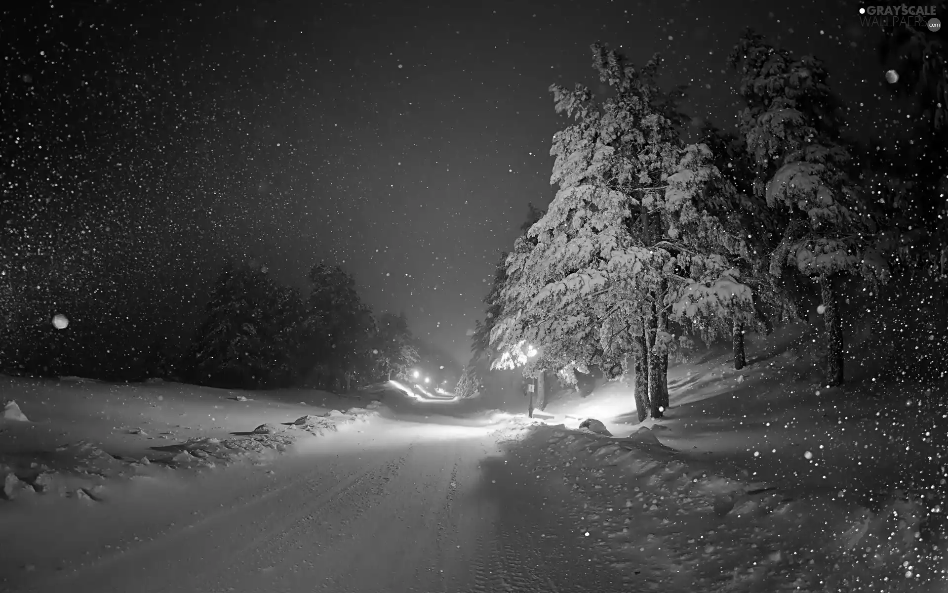 Way, trees, lighting, viewes, snow, Night, winter, incident