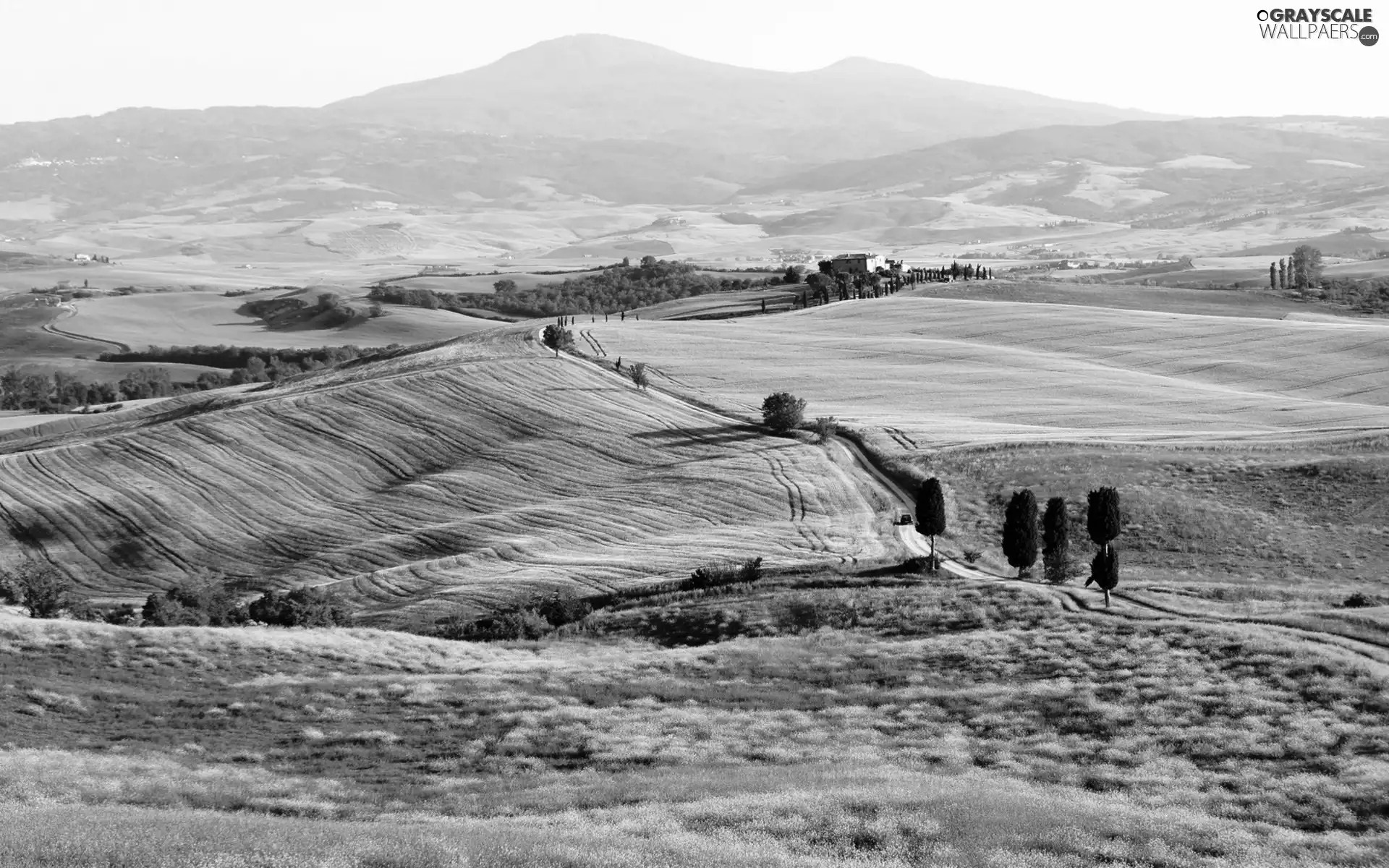 Way, trees, Italy, viewes, Tuscany, Houses, medows, Mountains