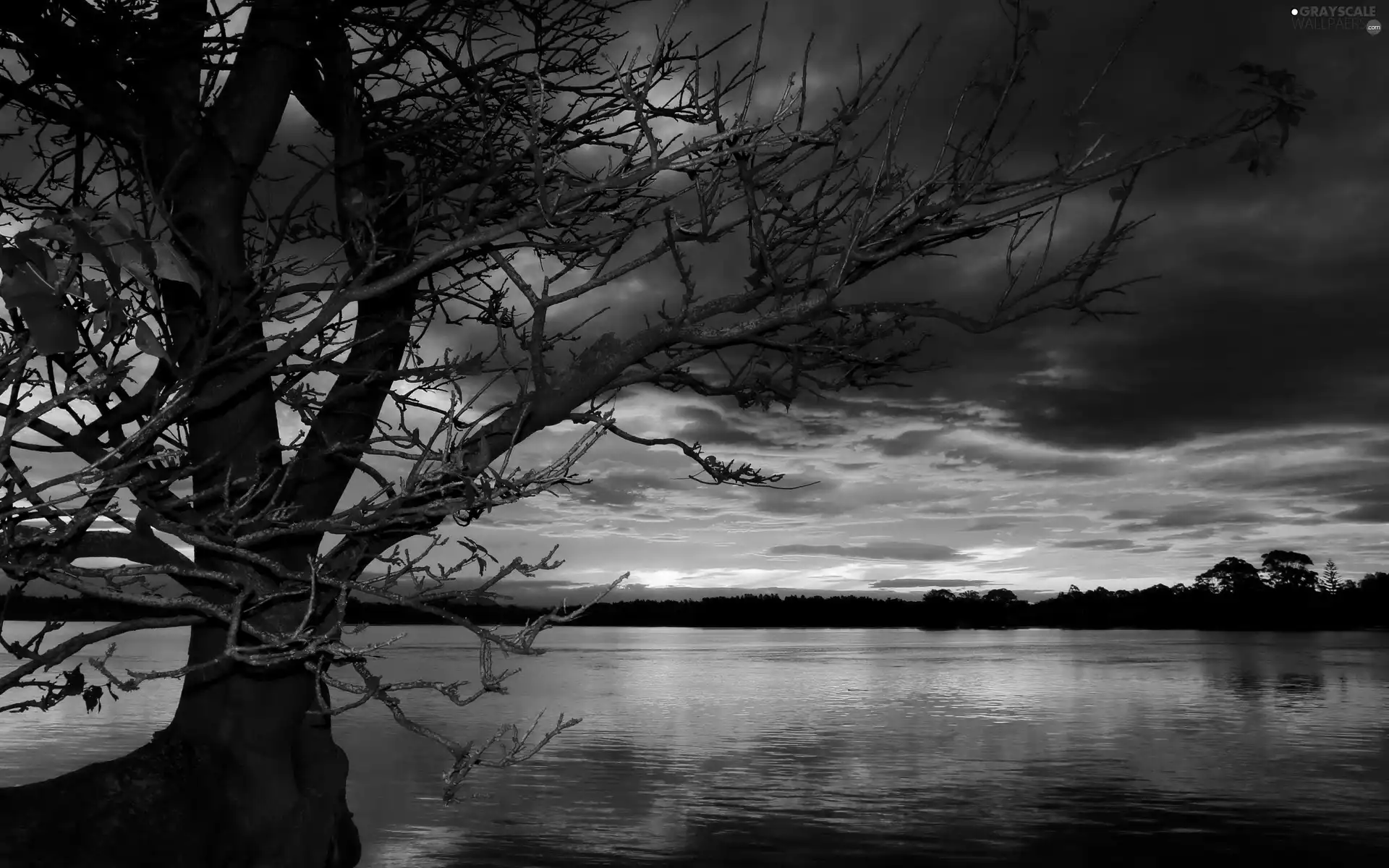 west, lake, trees, sun