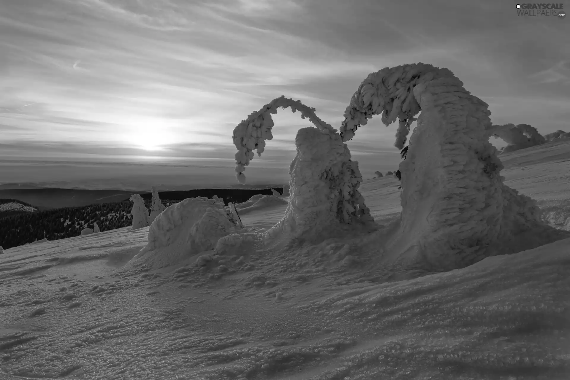 Great Sunsets, Hill, trees, viewes, winter