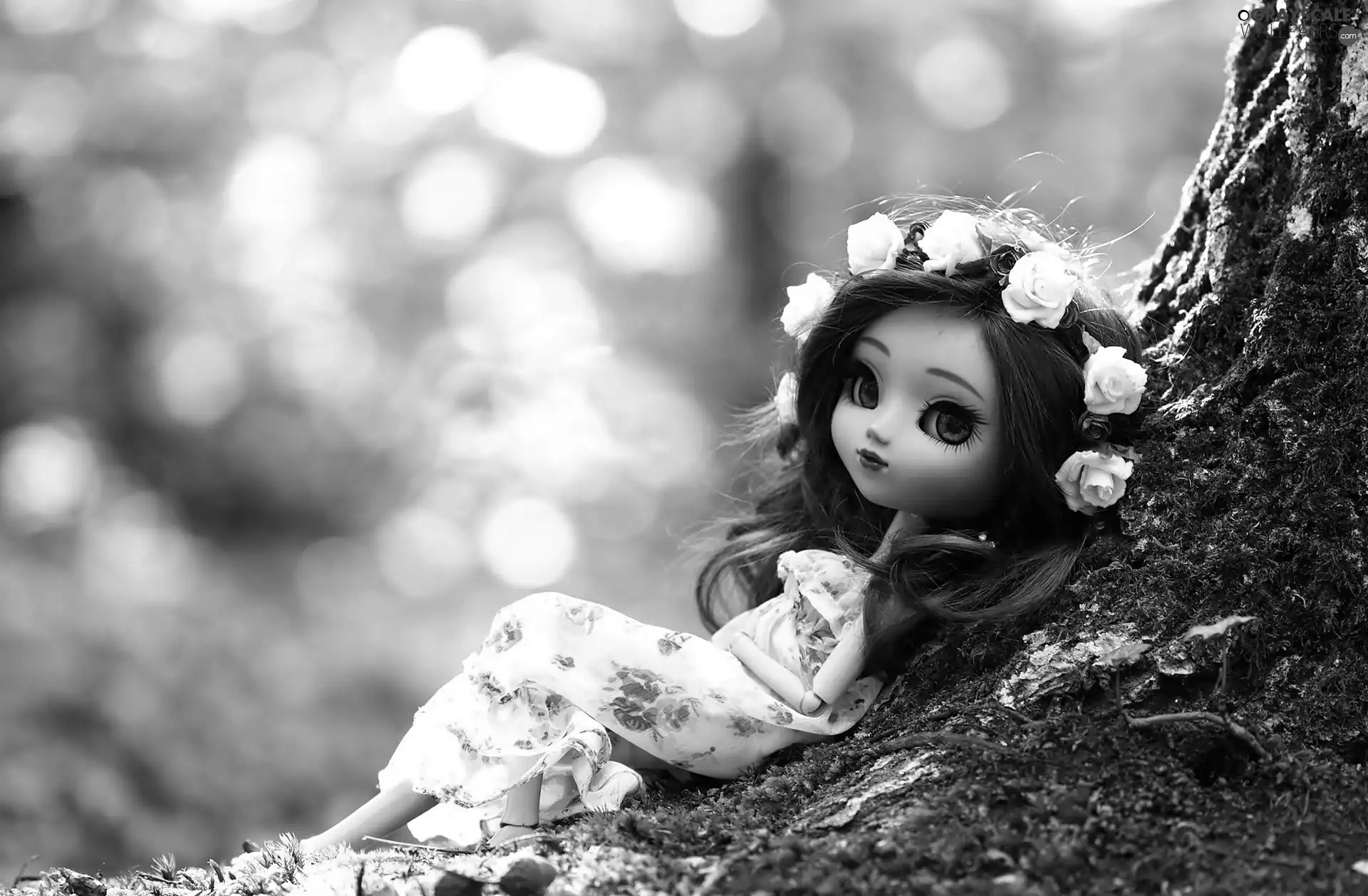 trees, doll, wreath