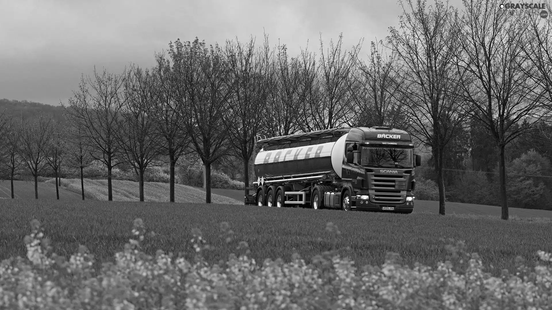 trees, Front Truck, Yellow, Flowers, viewes, Cistern