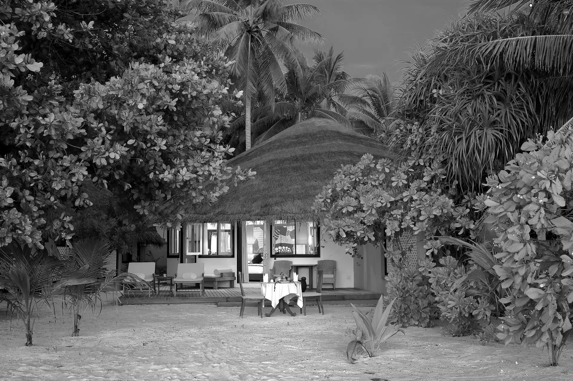 Beaches, Home, tropic, Floodlit