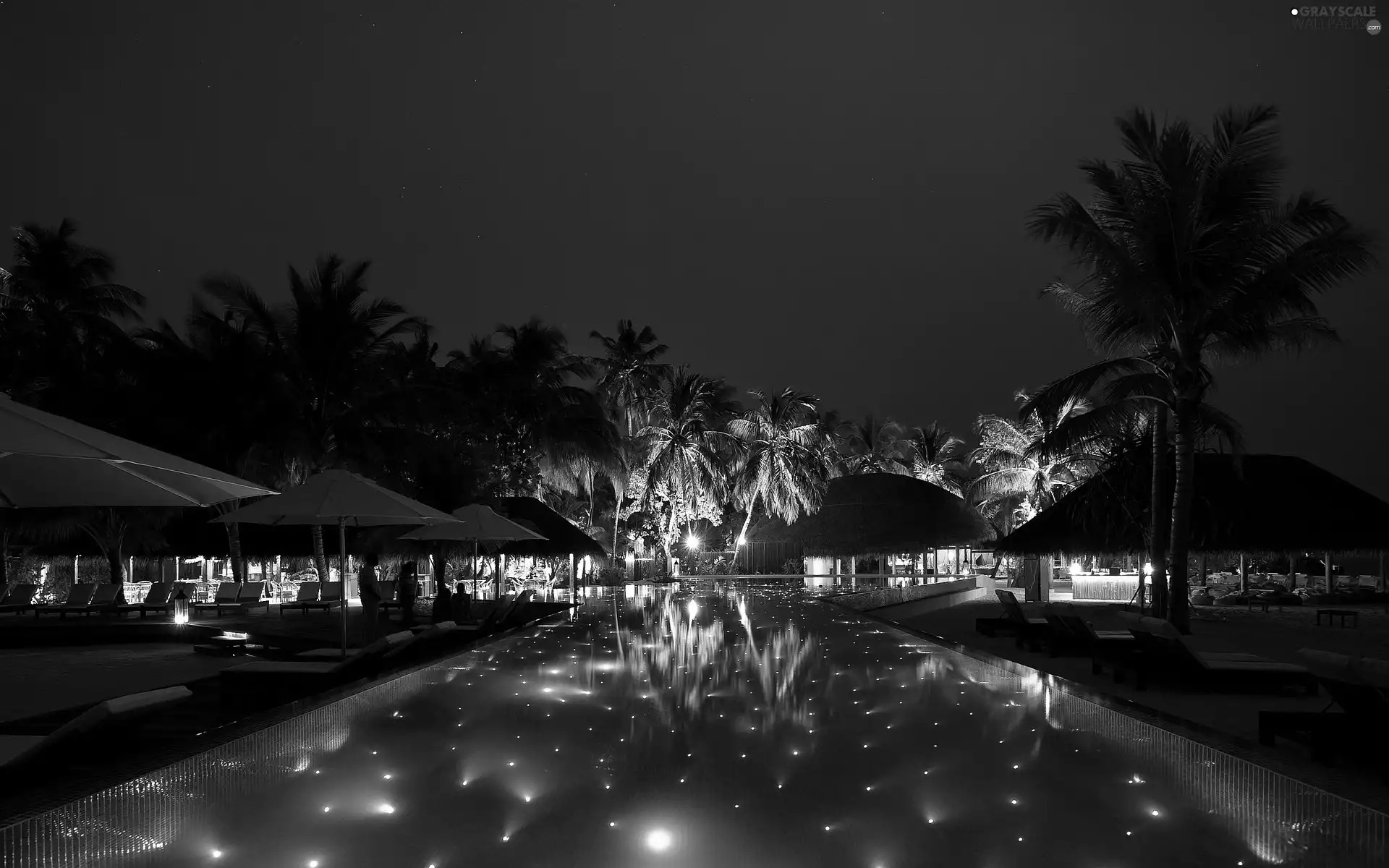 Hotel hall, Night, tropic, Pool