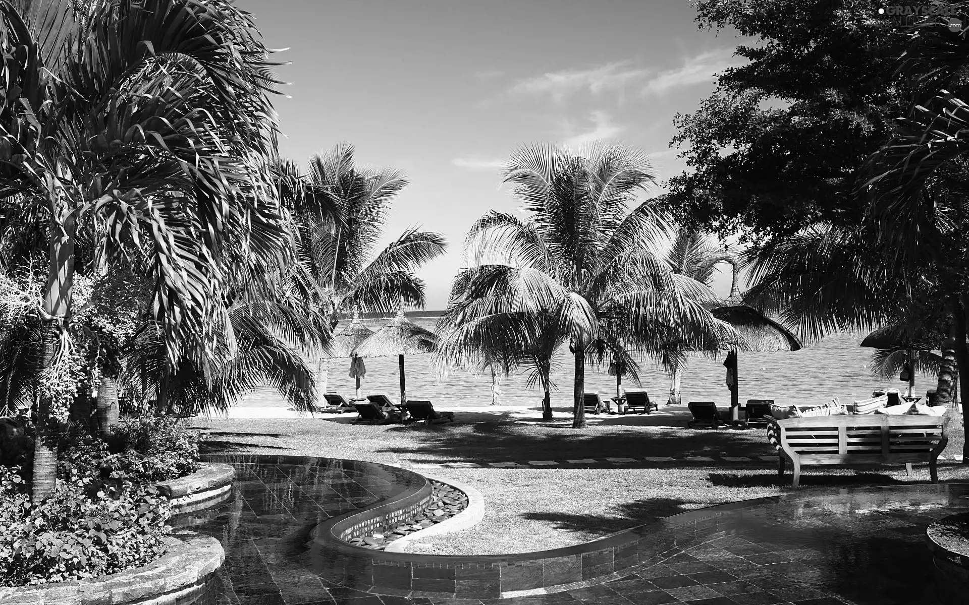 Ocean, Palms, tropic, spa