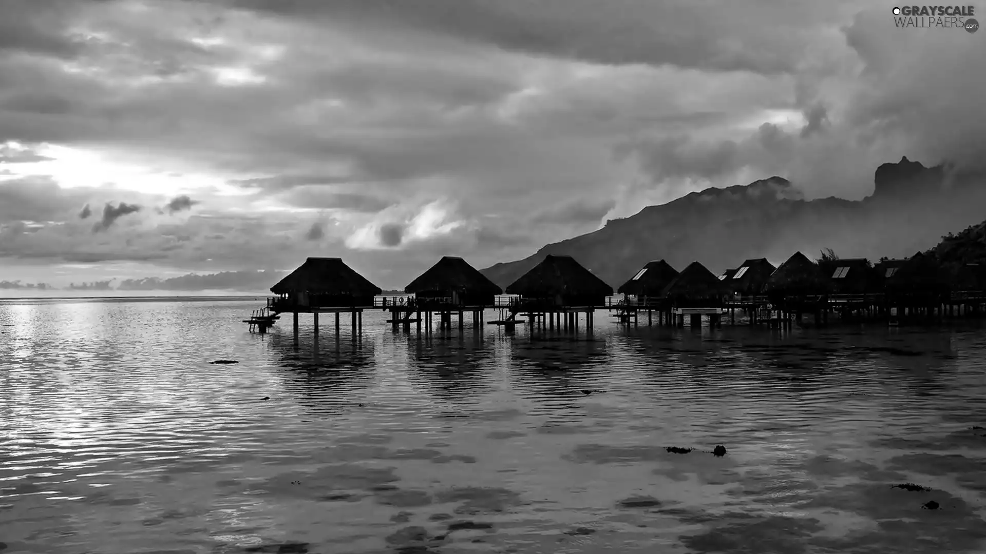 Tropical, sea, Houses