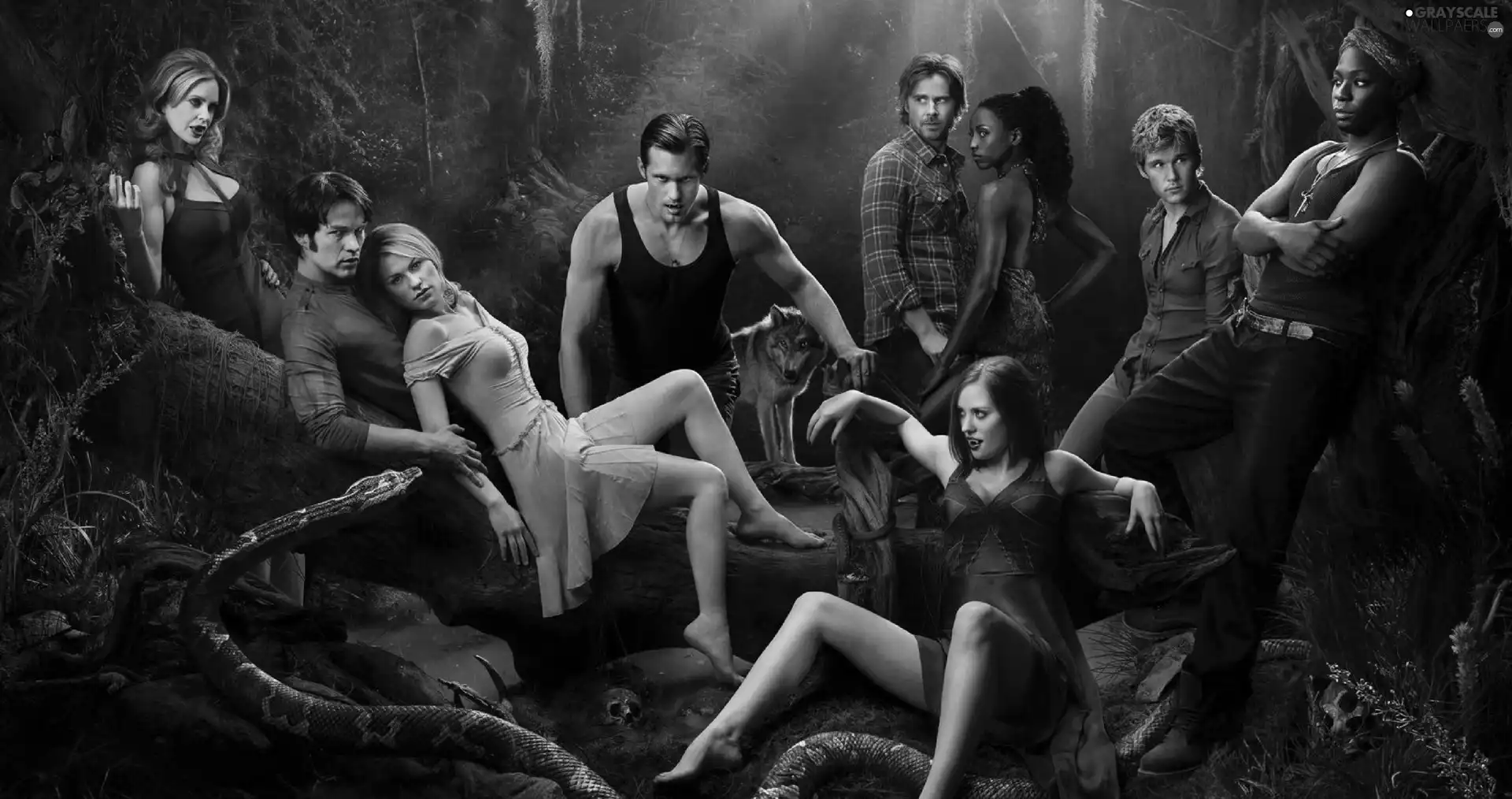 Actors, True Blood, True Blood